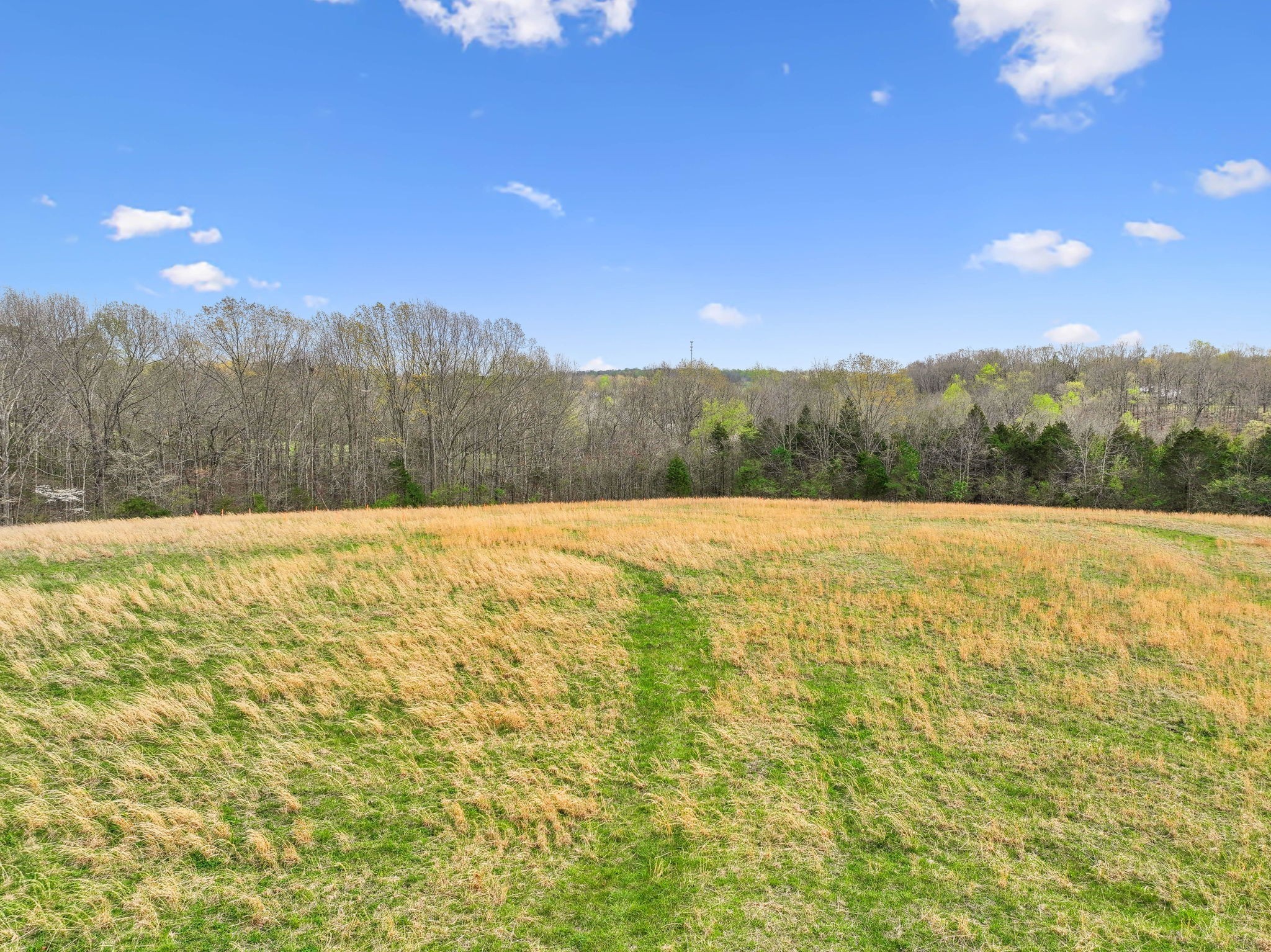 0 Liberty Road Fairview TN 37062