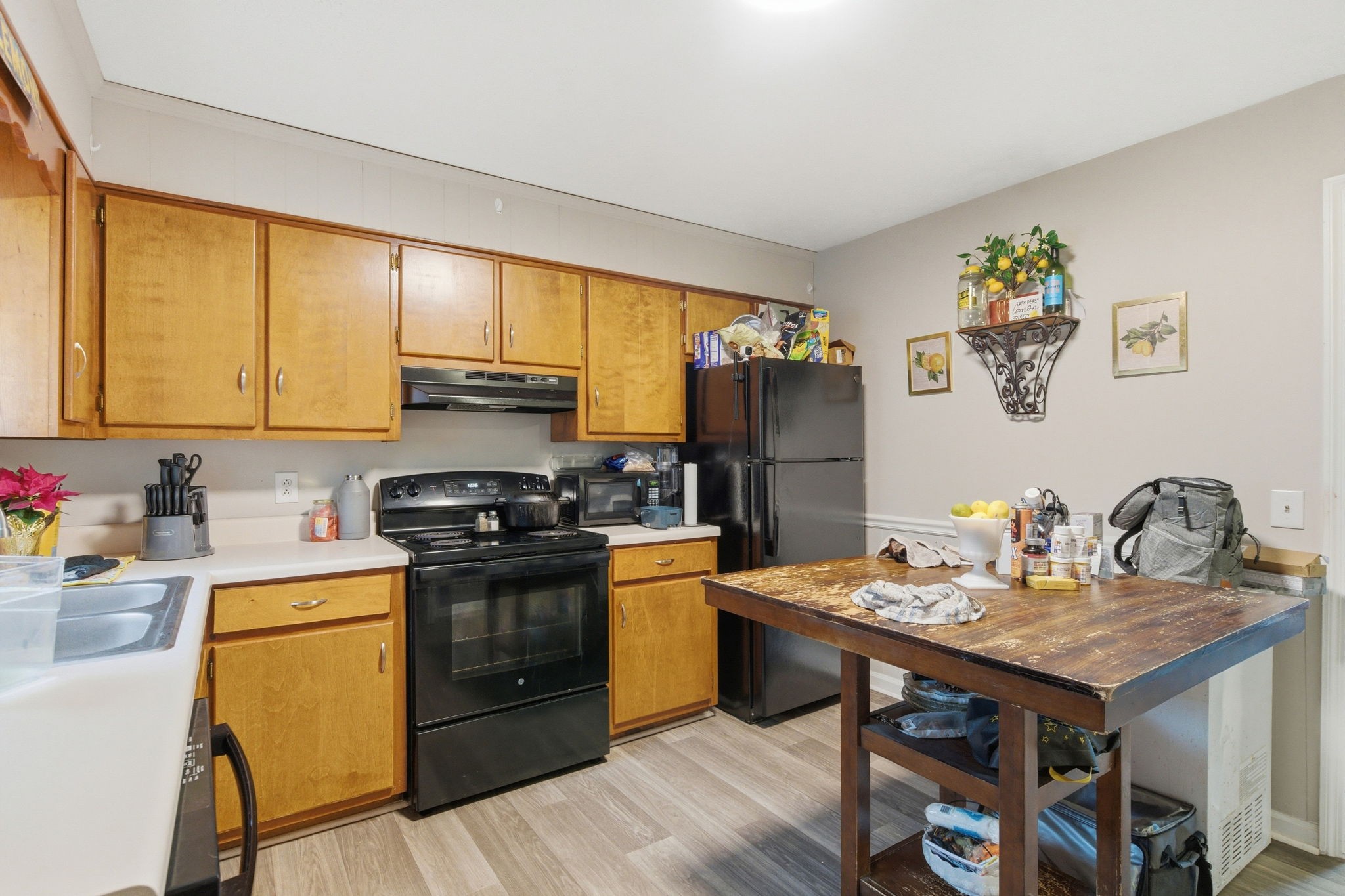 113 Gayla Court Portland TN 37148