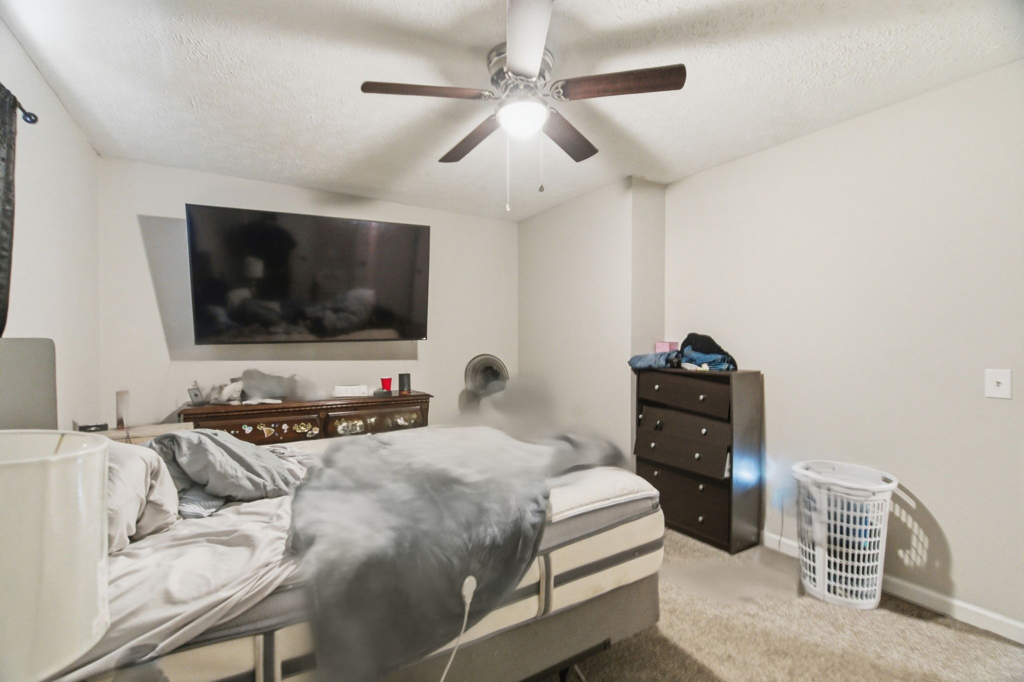 113 Gayla Court Portland TN 37148