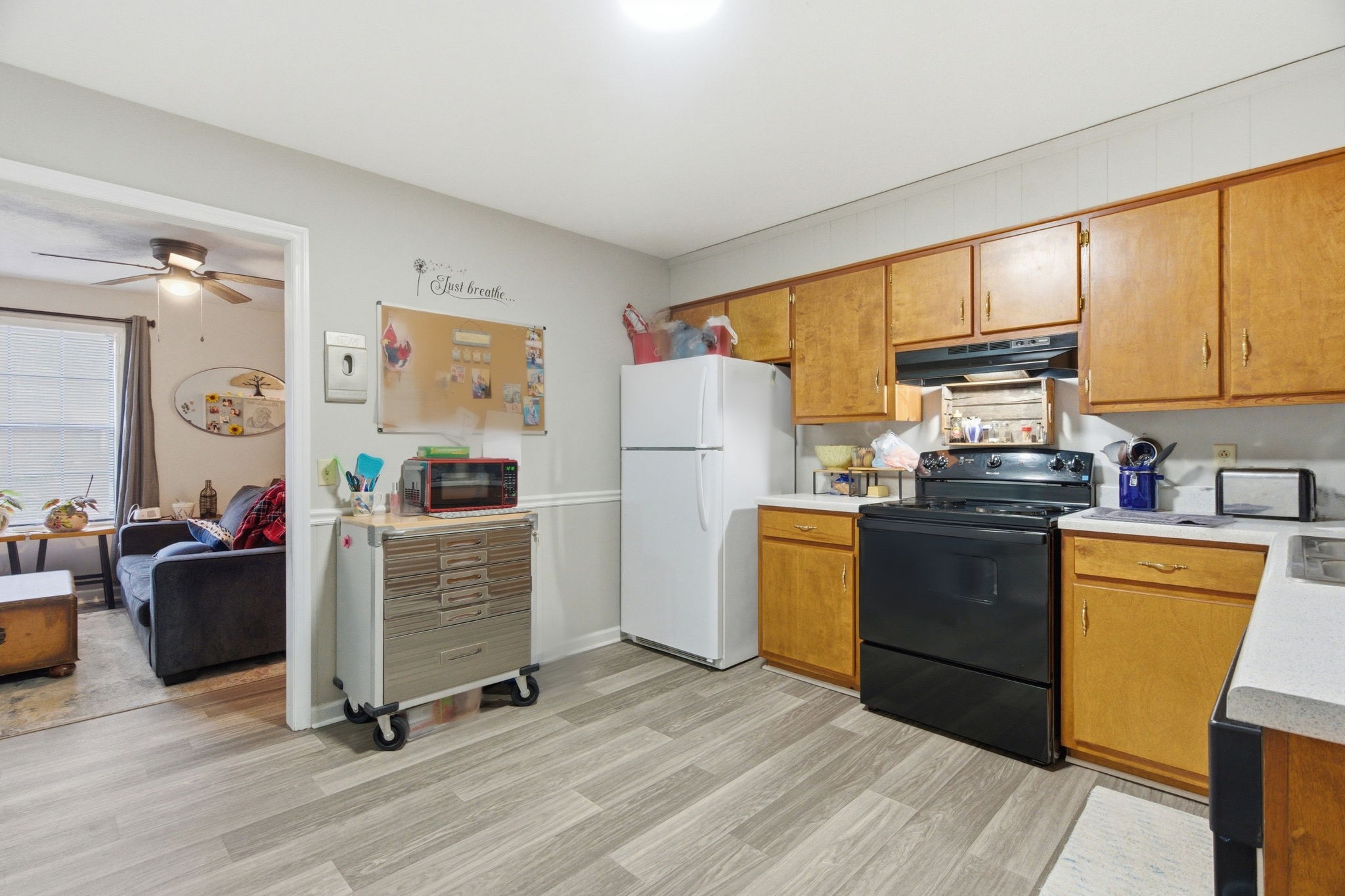 113 Gayla Court Portland TN 37148