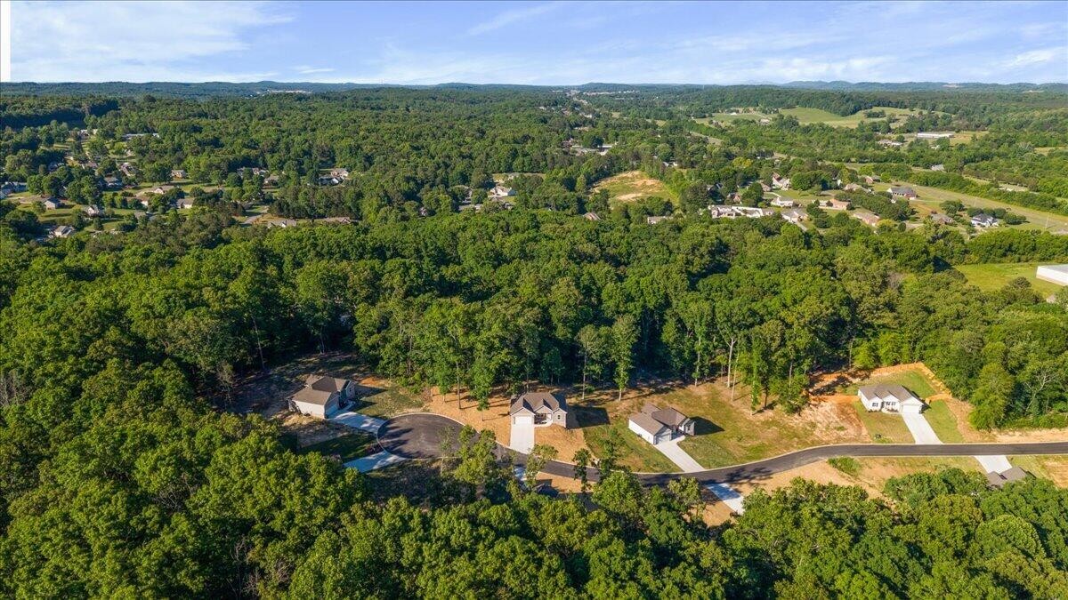 132 County Road 155 Riceville TN 37370