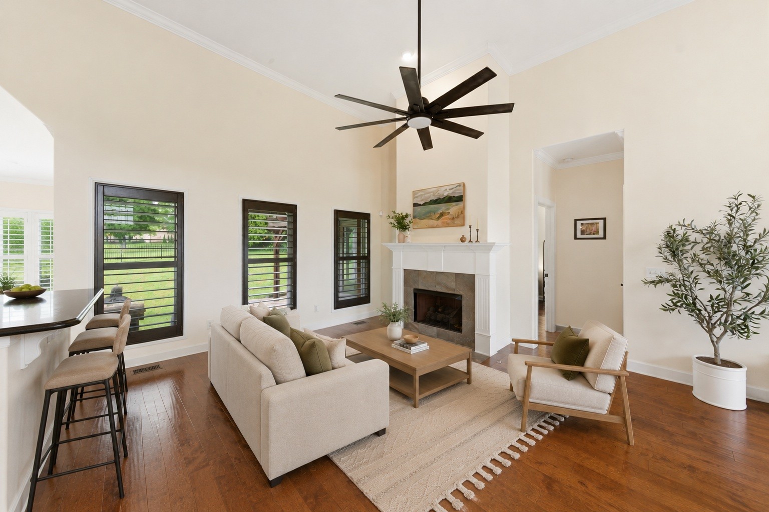 116 Cassandra Drive Cottontown TN 37048