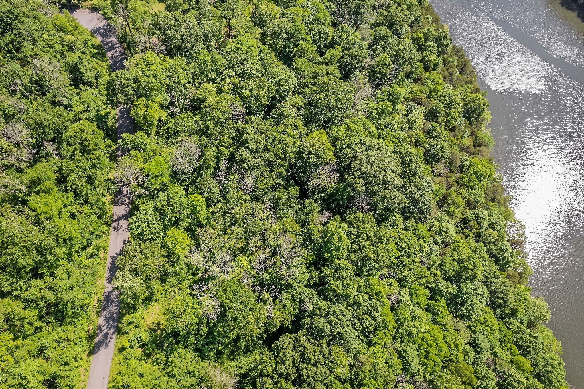 0 Harbor Pointe Silver Point TN 38582