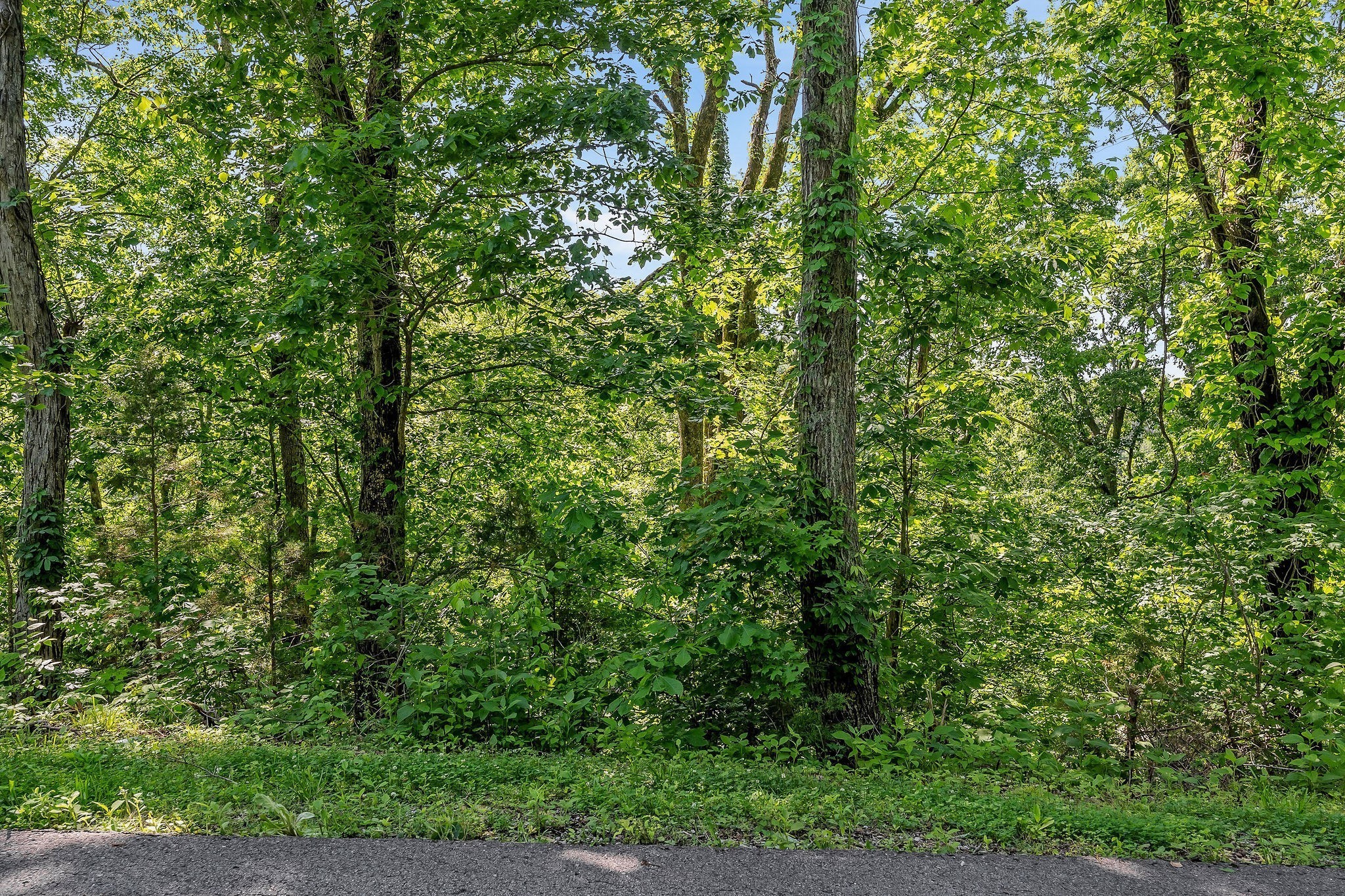 0 Harbor Pointe Silver Point TN 38582