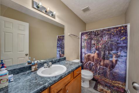 1228 Dellrose Drive Bell Buckle TN 37020