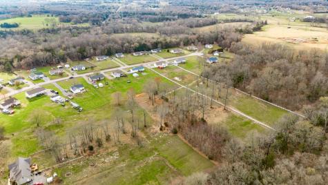 1228 Dellrose Drive Bell Buckle TN 37020