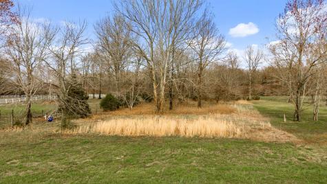 1228 Dellrose Drive Bell Buckle TN 37020