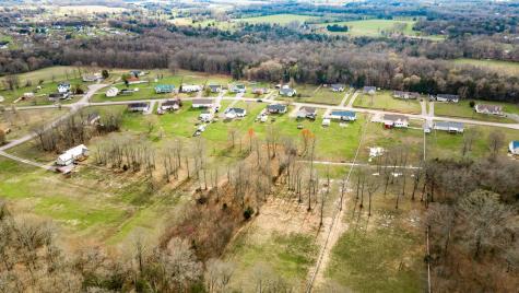 1228 Dellrose Drive Bell Buckle TN 37020