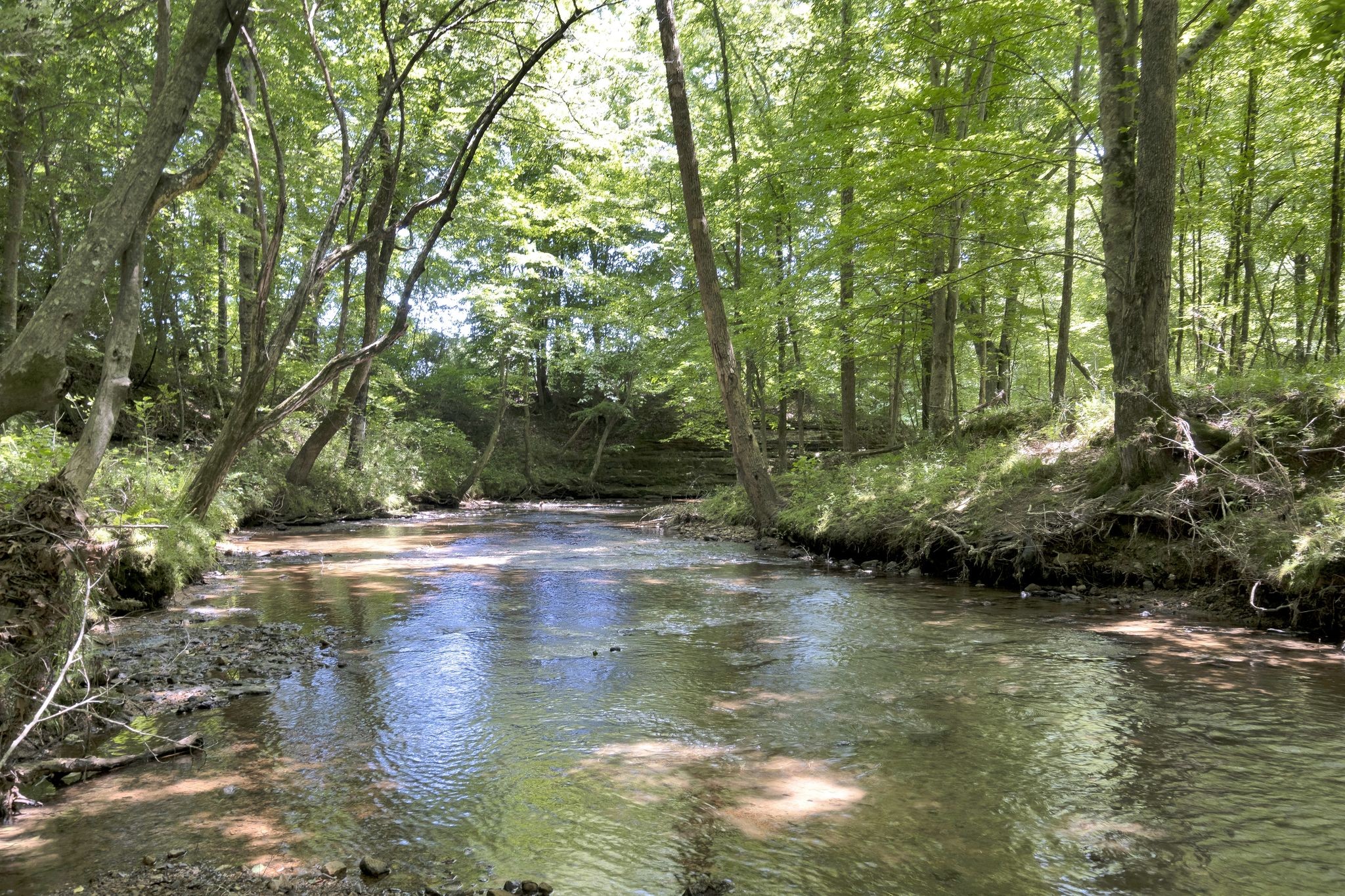 622 Longbranch Road Hohenwald TN 38462