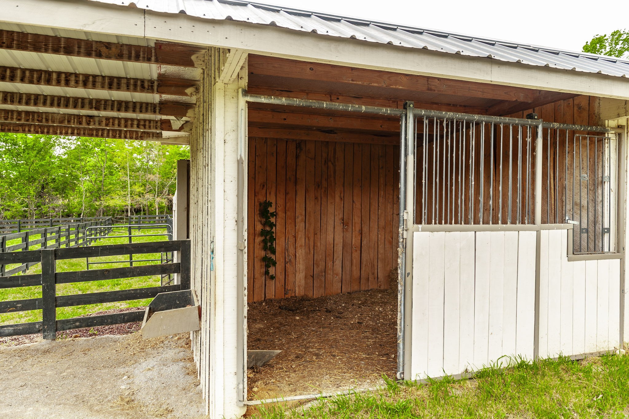 1205 Sequoya Trail Columbia TN 38401
