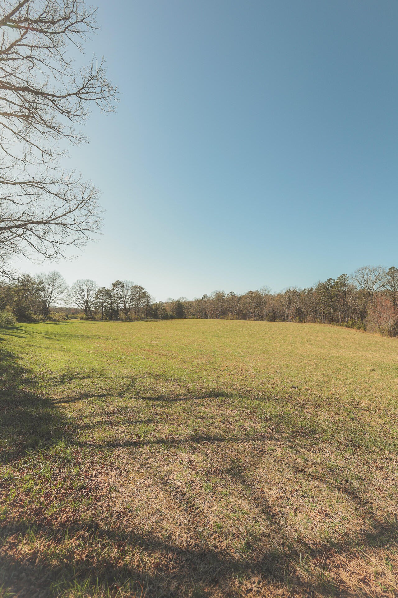 12733 Jones Gap Road Soddy Daisy TN 37379