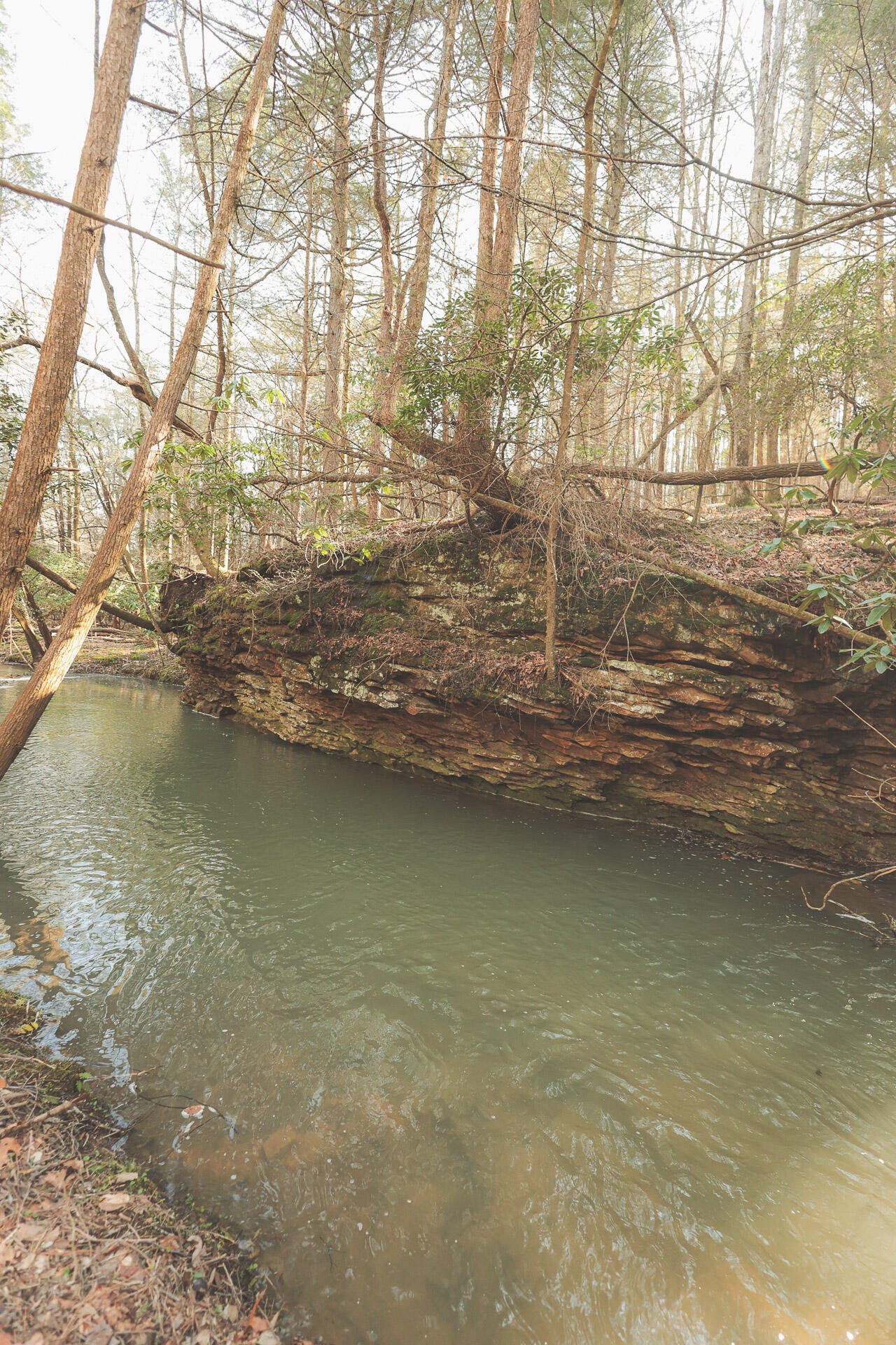 12733 Jones Gap Road Soddy Daisy TN 37379
