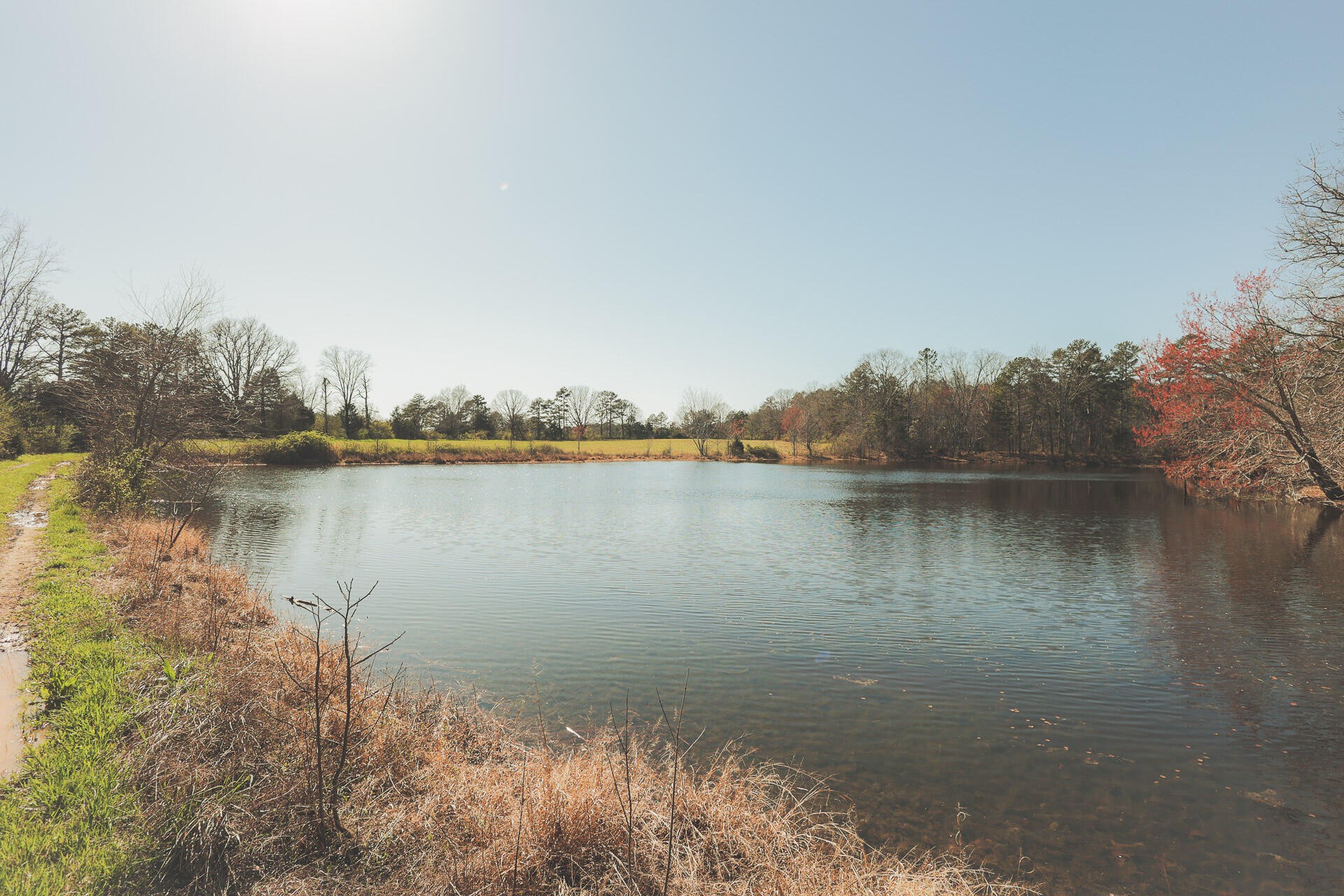 12733 Jones Gap Road Soddy Daisy TN 37379