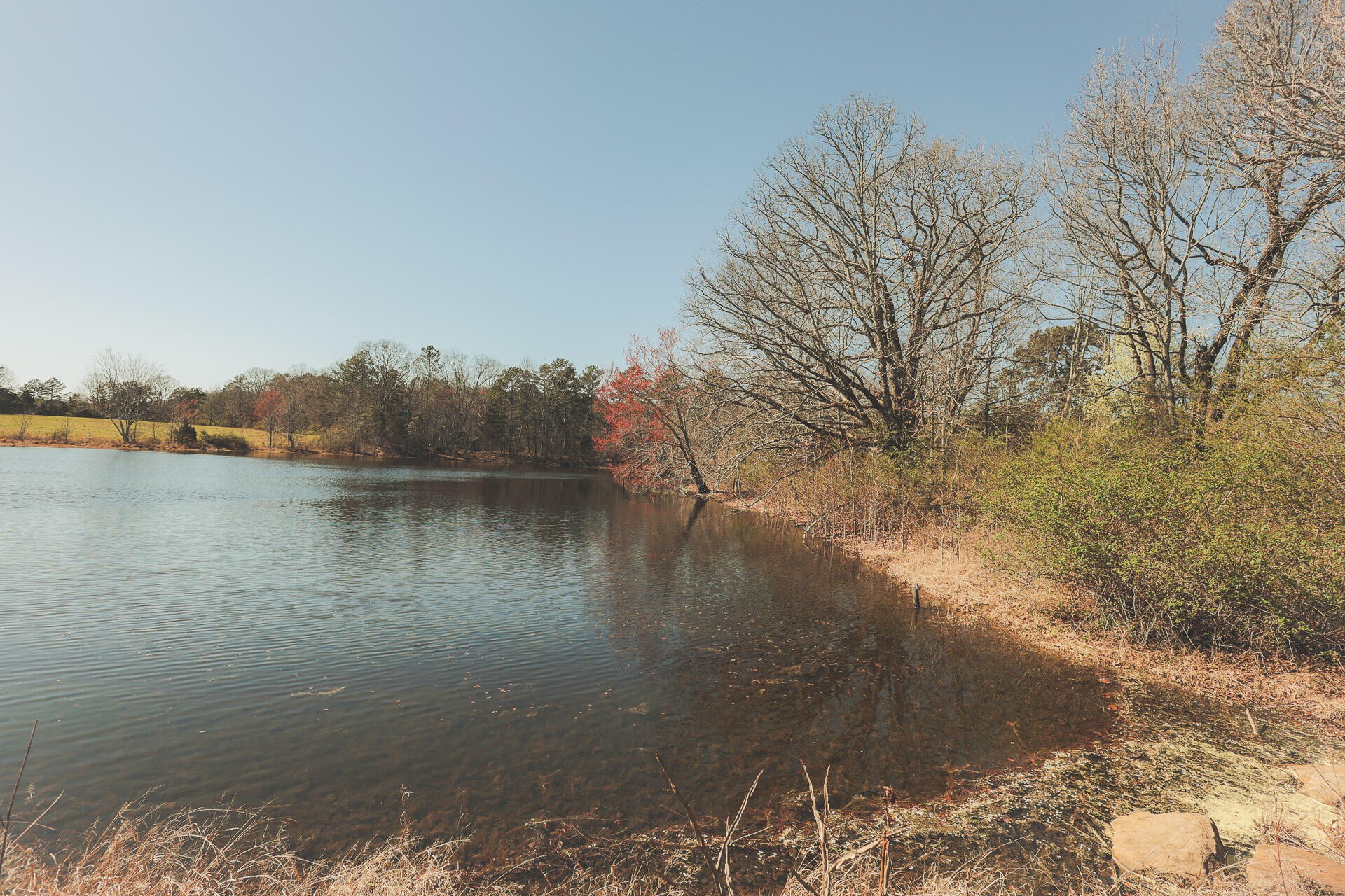 12733 Jones Gap Road Soddy Daisy TN 37379
