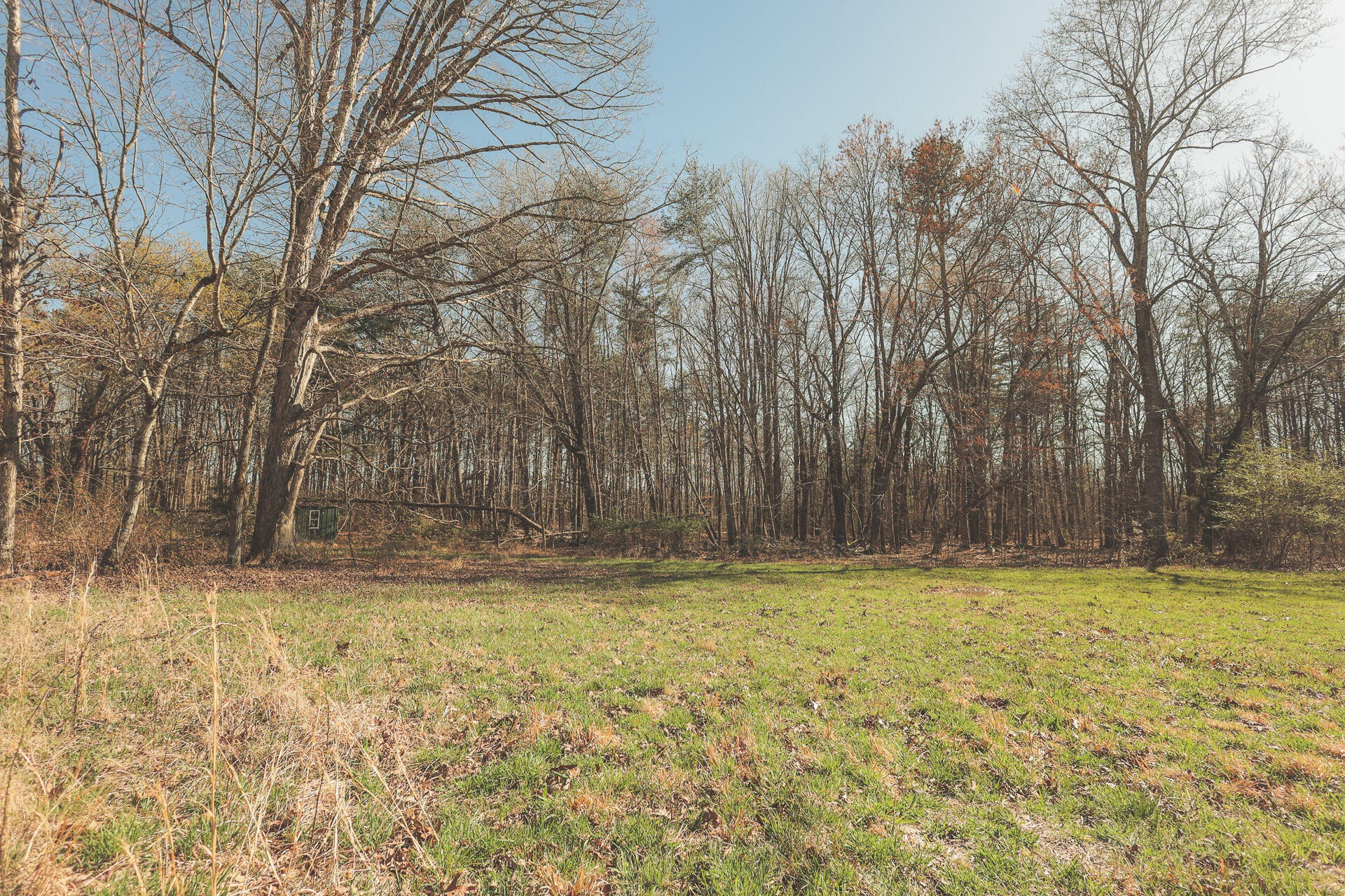12733 Jones Gap Road Soddy Daisy TN 37379