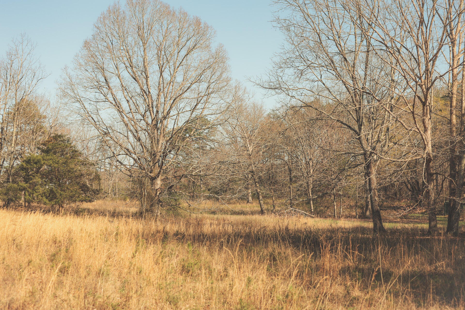 12733 Jones Gap Road Soddy Daisy TN 37379