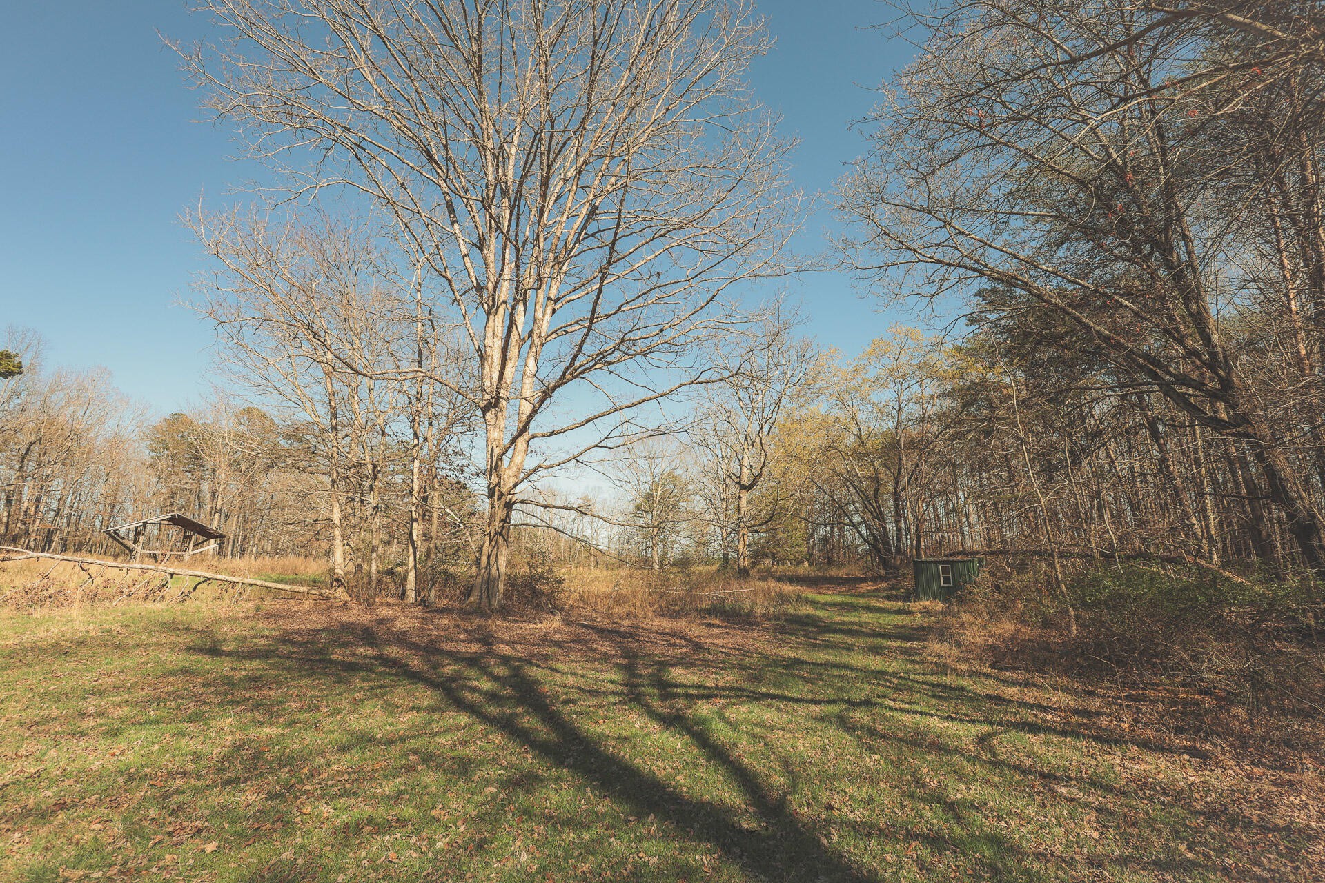 12733 Jones Gap Road Soddy Daisy TN 37379