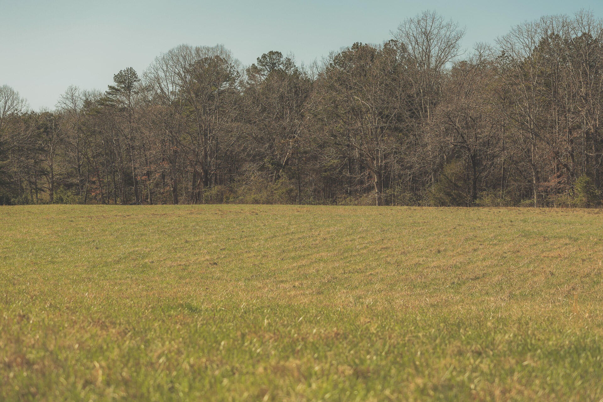 12733 Jones Gap Road Soddy Daisy TN 37379