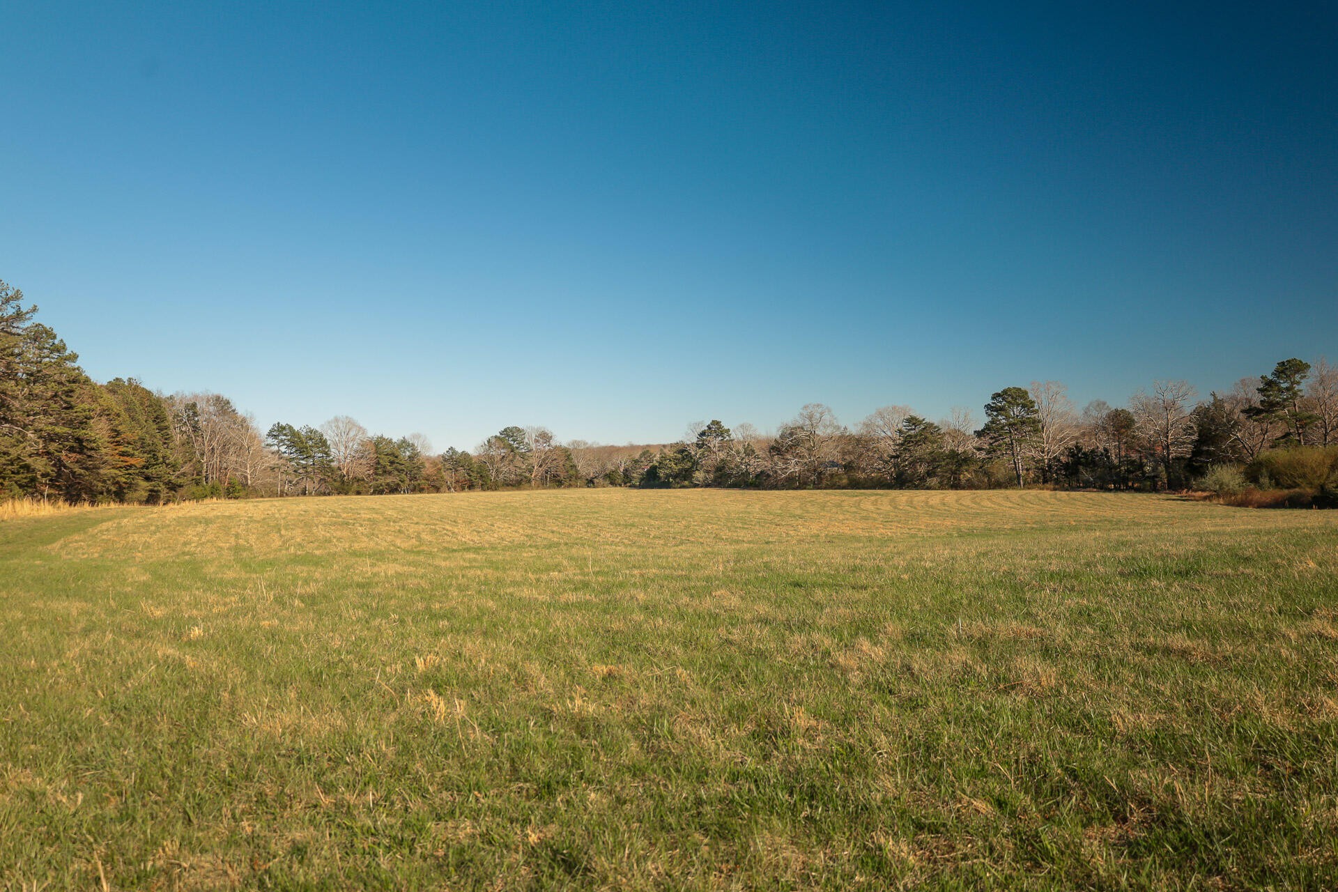 12733 Jones Gap Road Soddy Daisy TN 37379