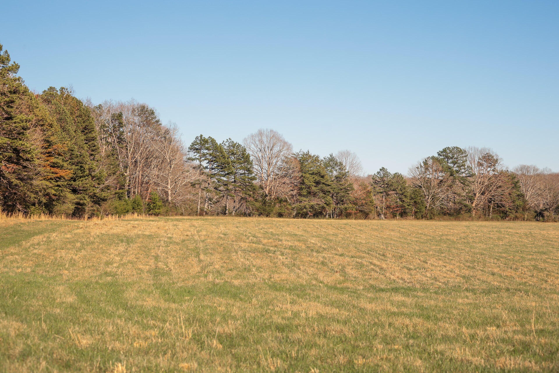 12733 Jones Gap Road Soddy Daisy TN 37379