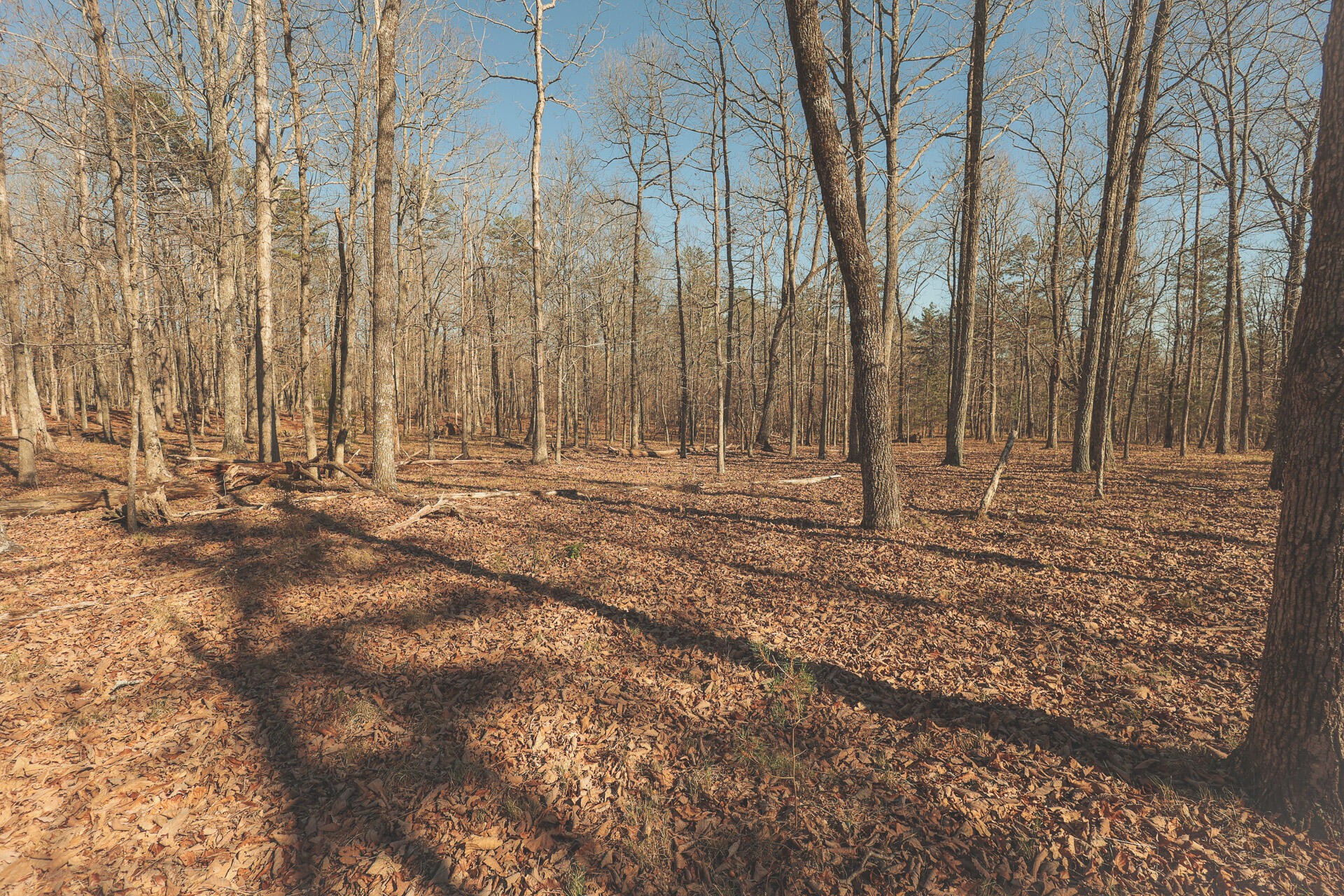 12733 Jones Gap Road Soddy Daisy TN 37379