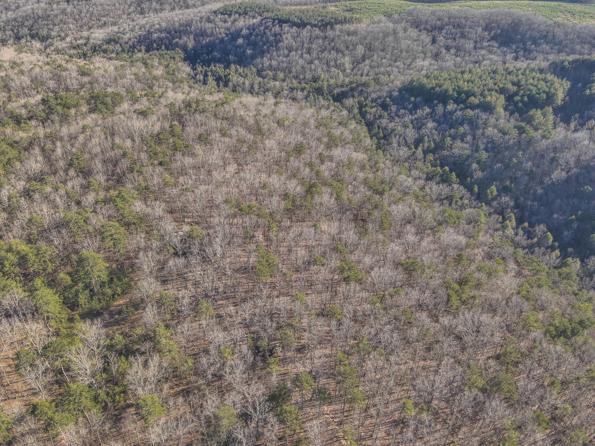 12733 Jones Gap Road Soddy Daisy TN 37379