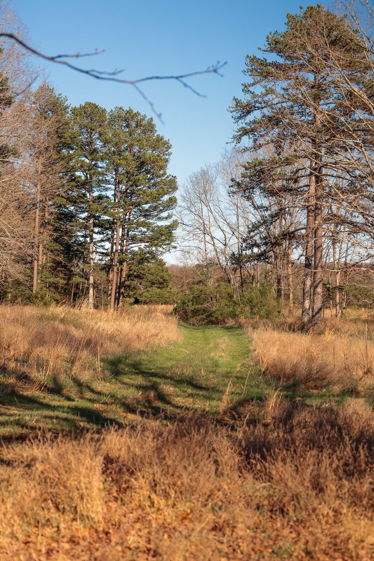 12733 Jones Gap Road Soddy Daisy TN 37379