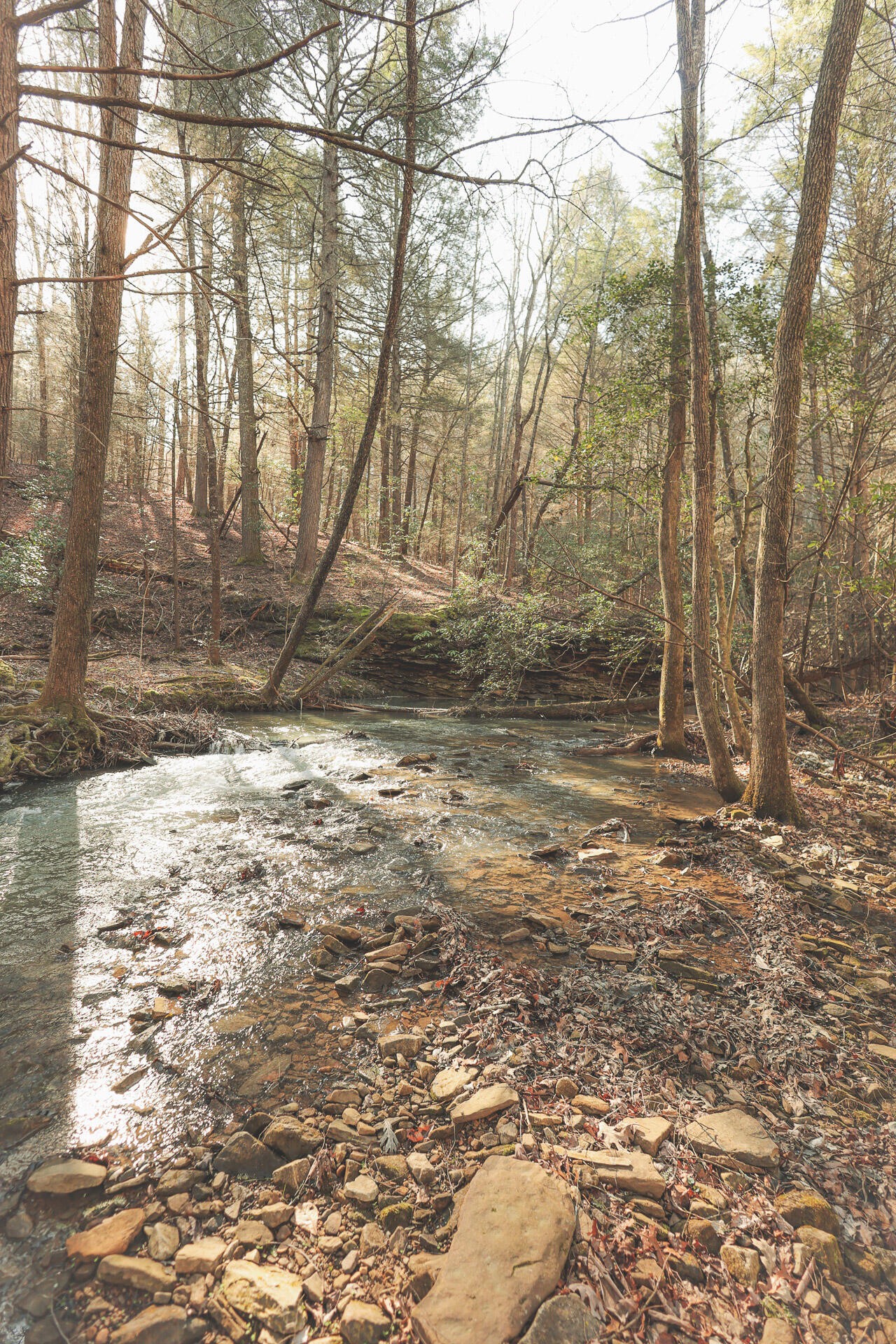 12733 Jones Gap Road Soddy Daisy TN 37379