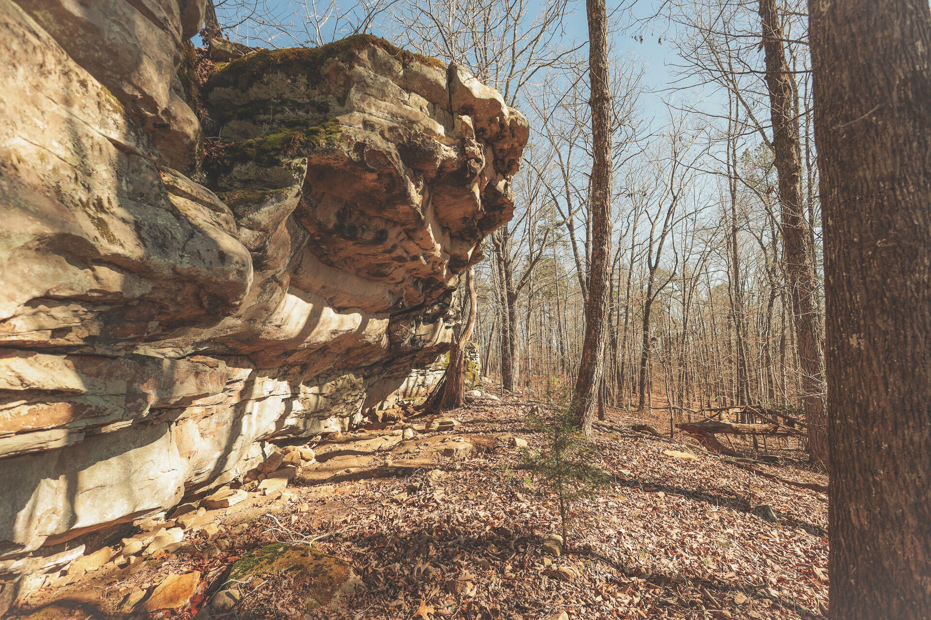 12733 Jones Gap Road Soddy Daisy TN 37379