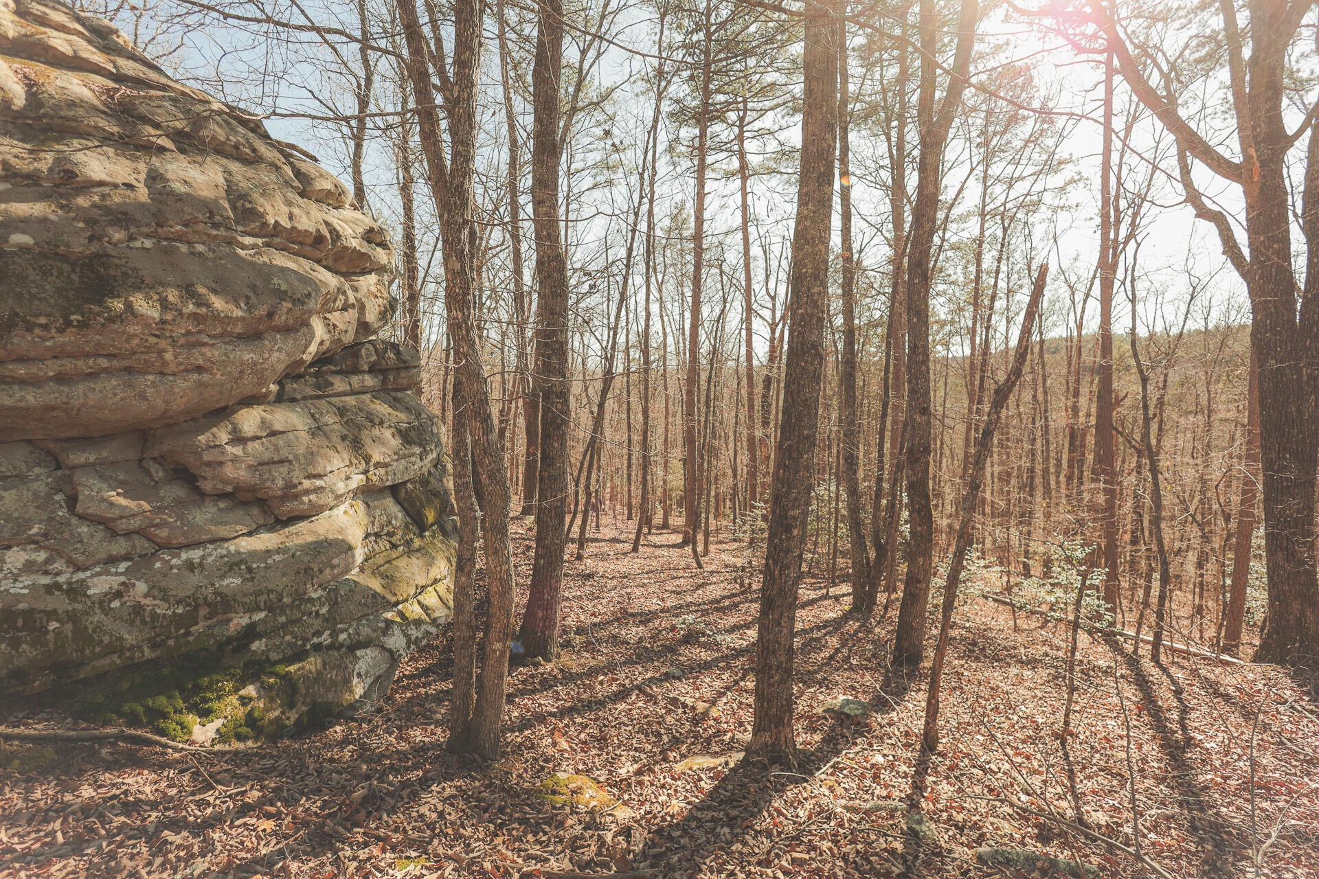 12733 Jones Gap Road Soddy Daisy TN 37379