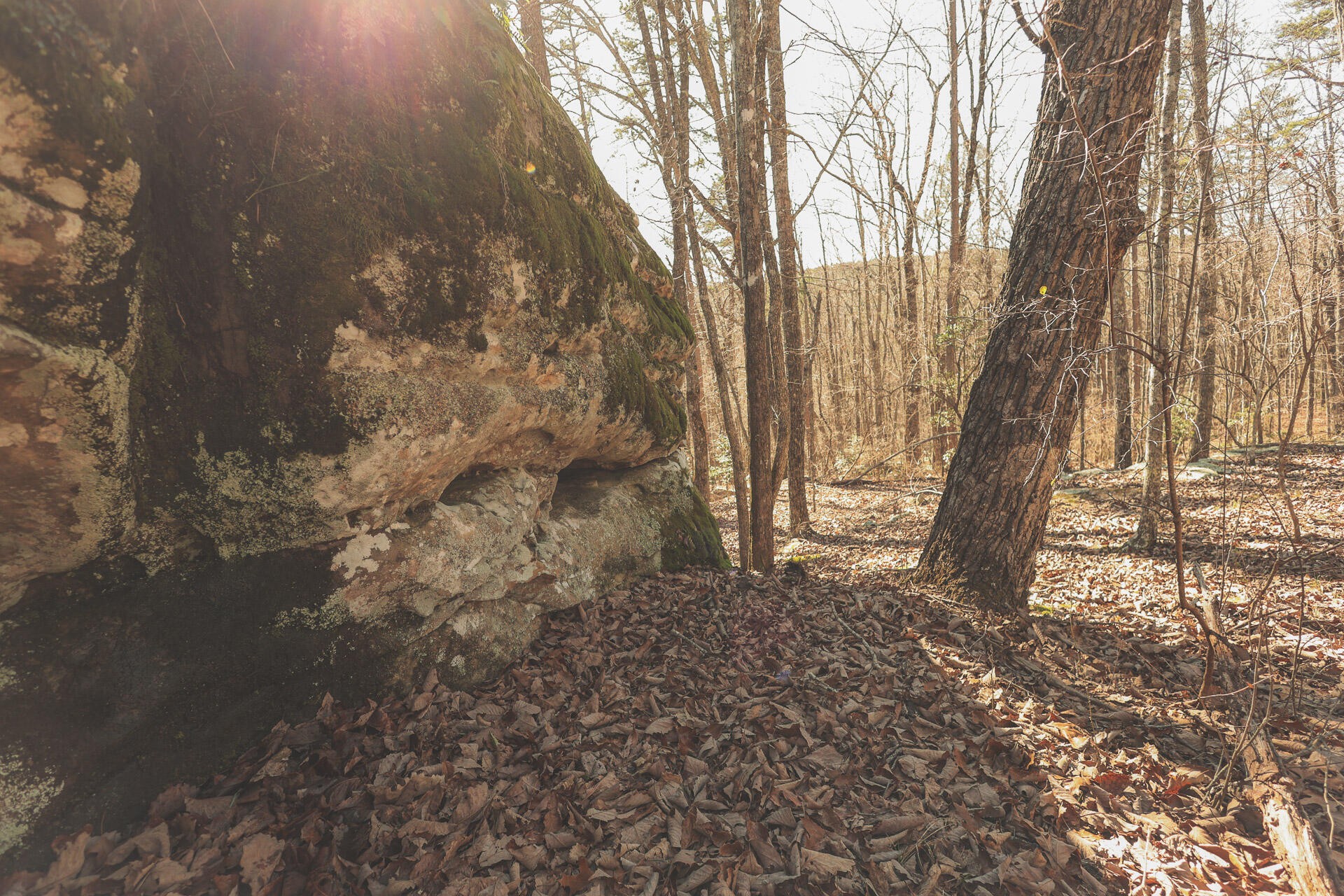12733 Jones Gap Road Soddy Daisy TN 37379