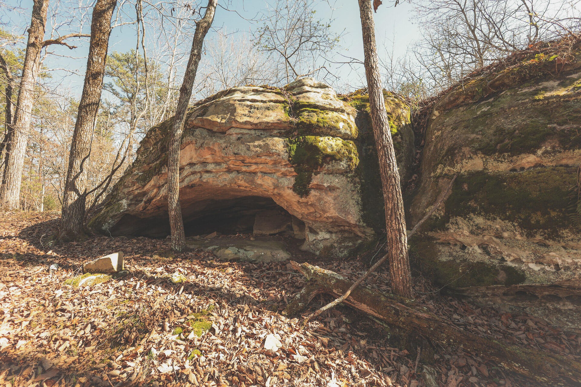 12733 Jones Gap Road Soddy Daisy TN 37379
