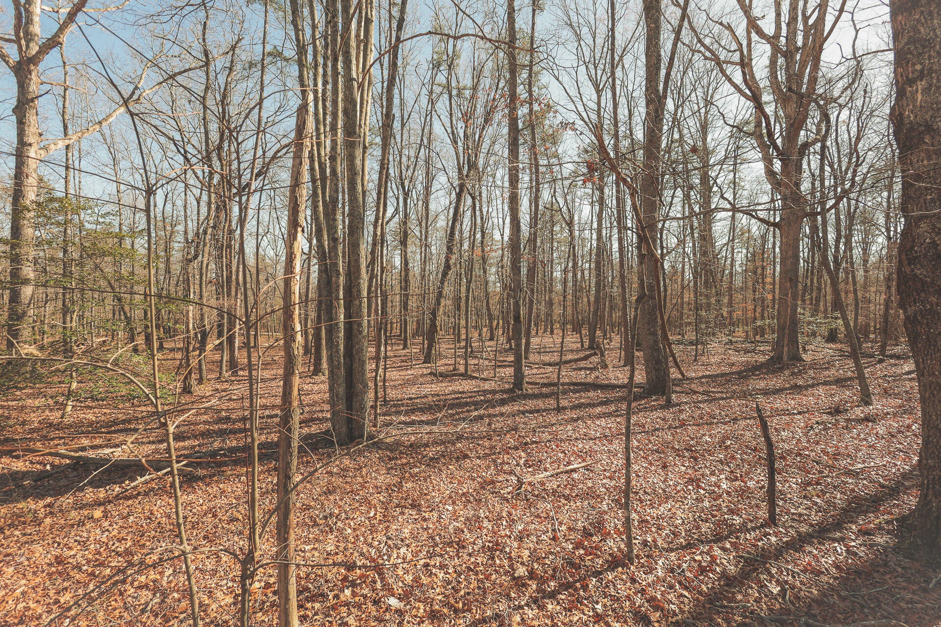 12733 Jones Gap Road Soddy Daisy TN 37379