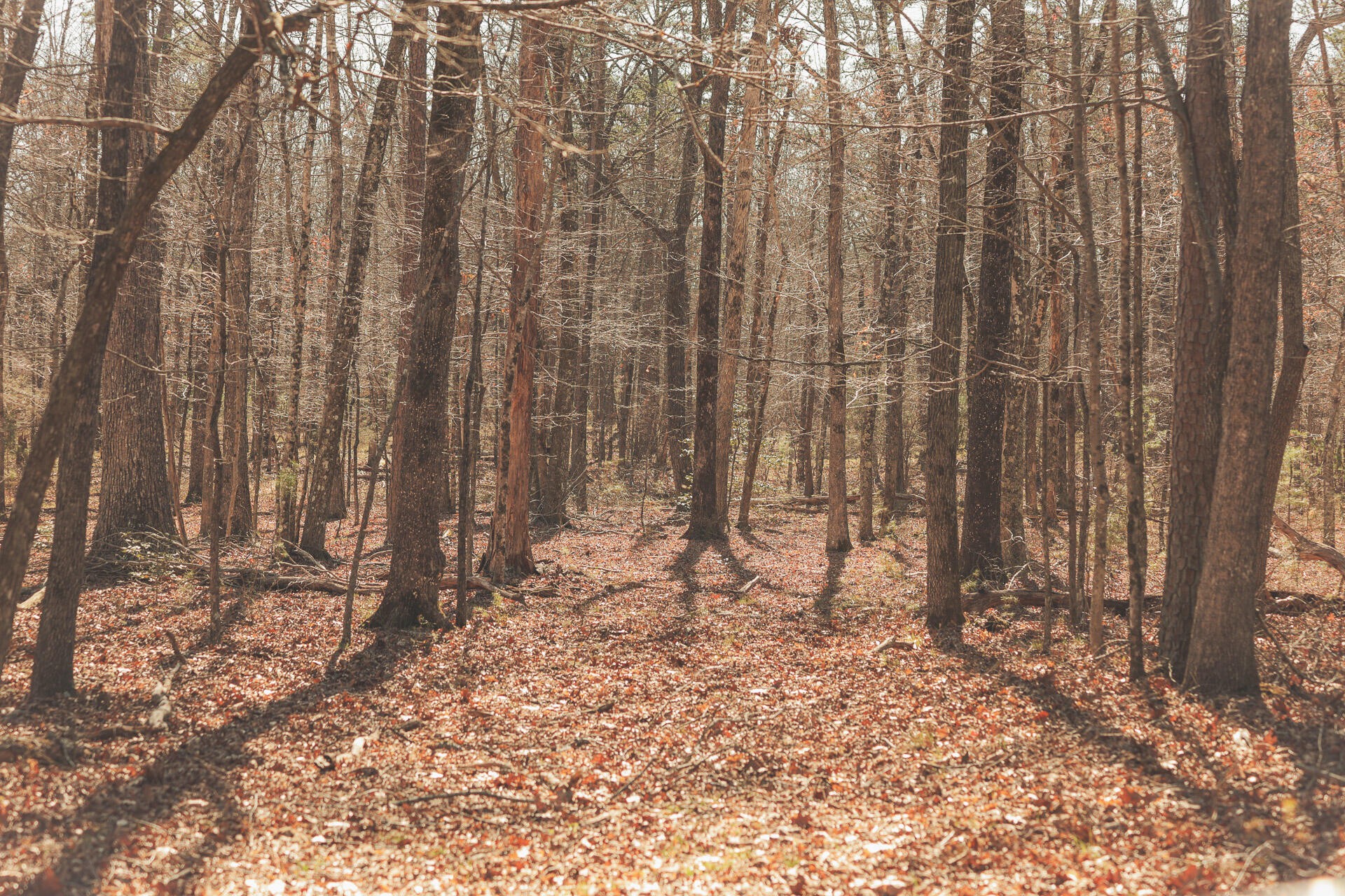 12733 Jones Gap Road Soddy Daisy TN 37379