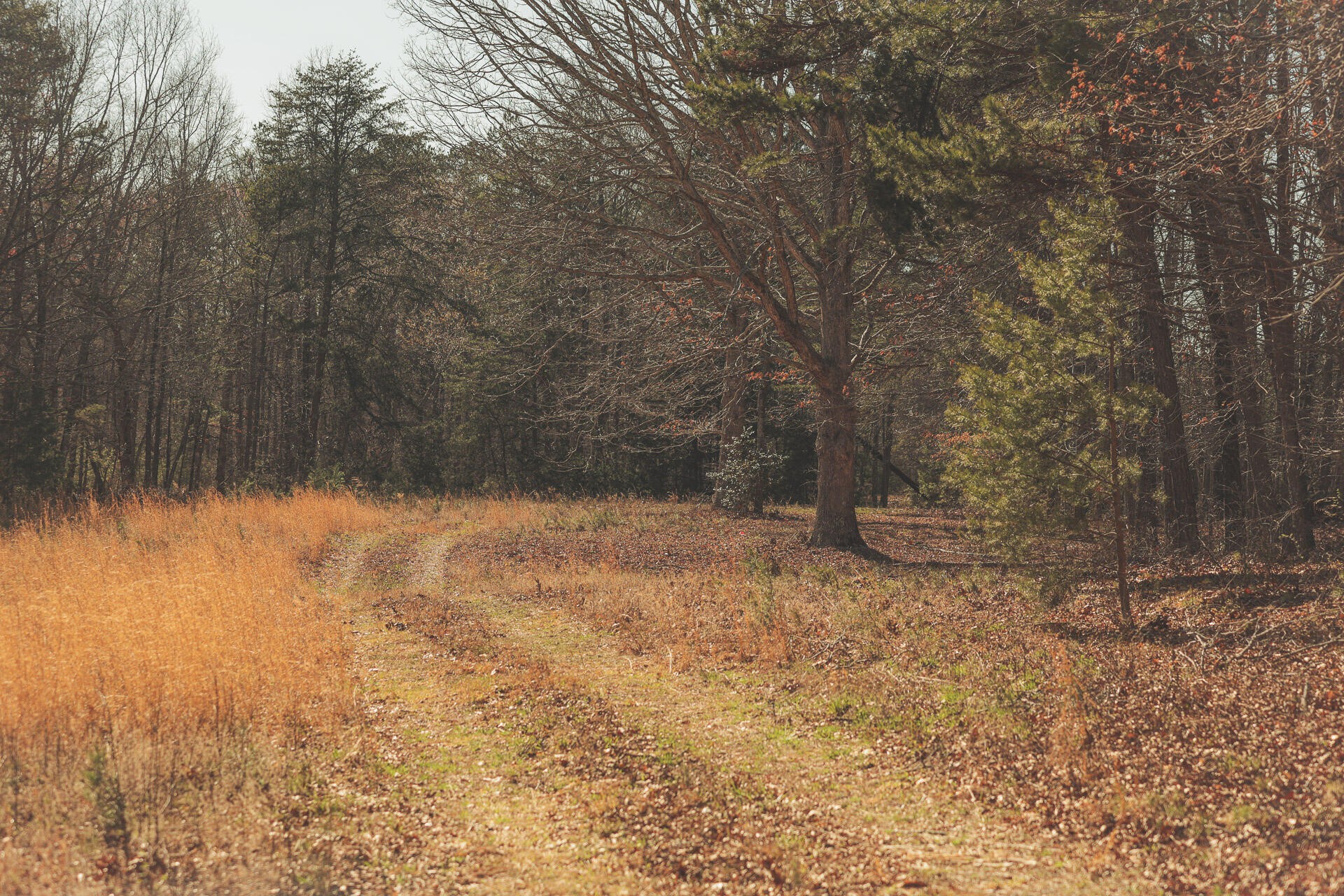 12733 Jones Gap Road Soddy Daisy TN 37379