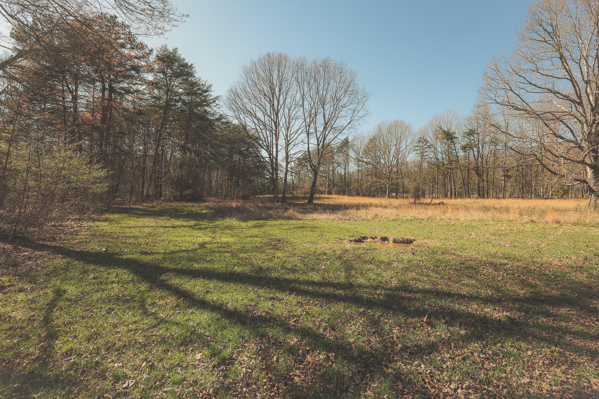 12733 Jones Gap Road Soddy Daisy TN 37379
