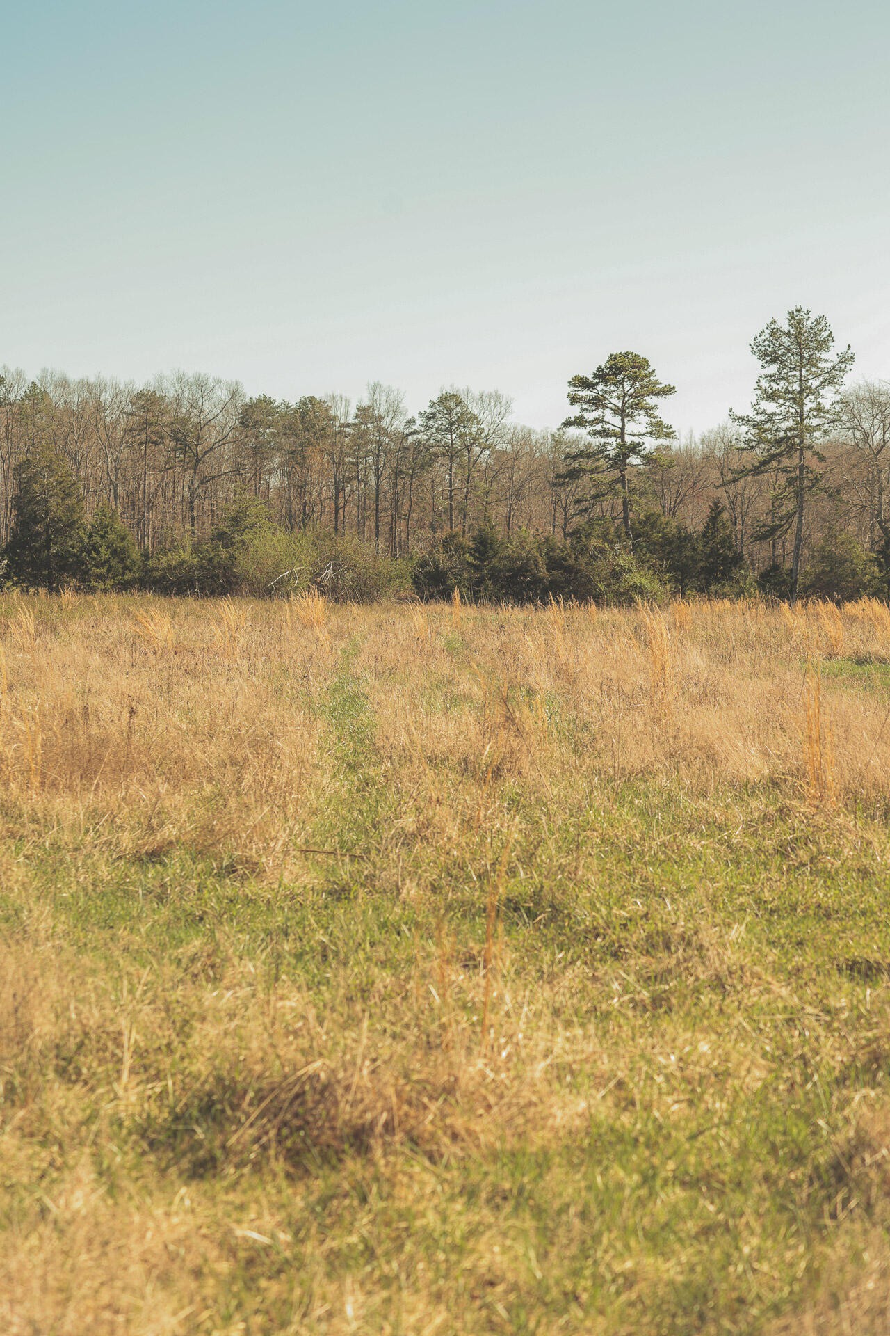 12733 Jones Gap Road Soddy Daisy TN 37379