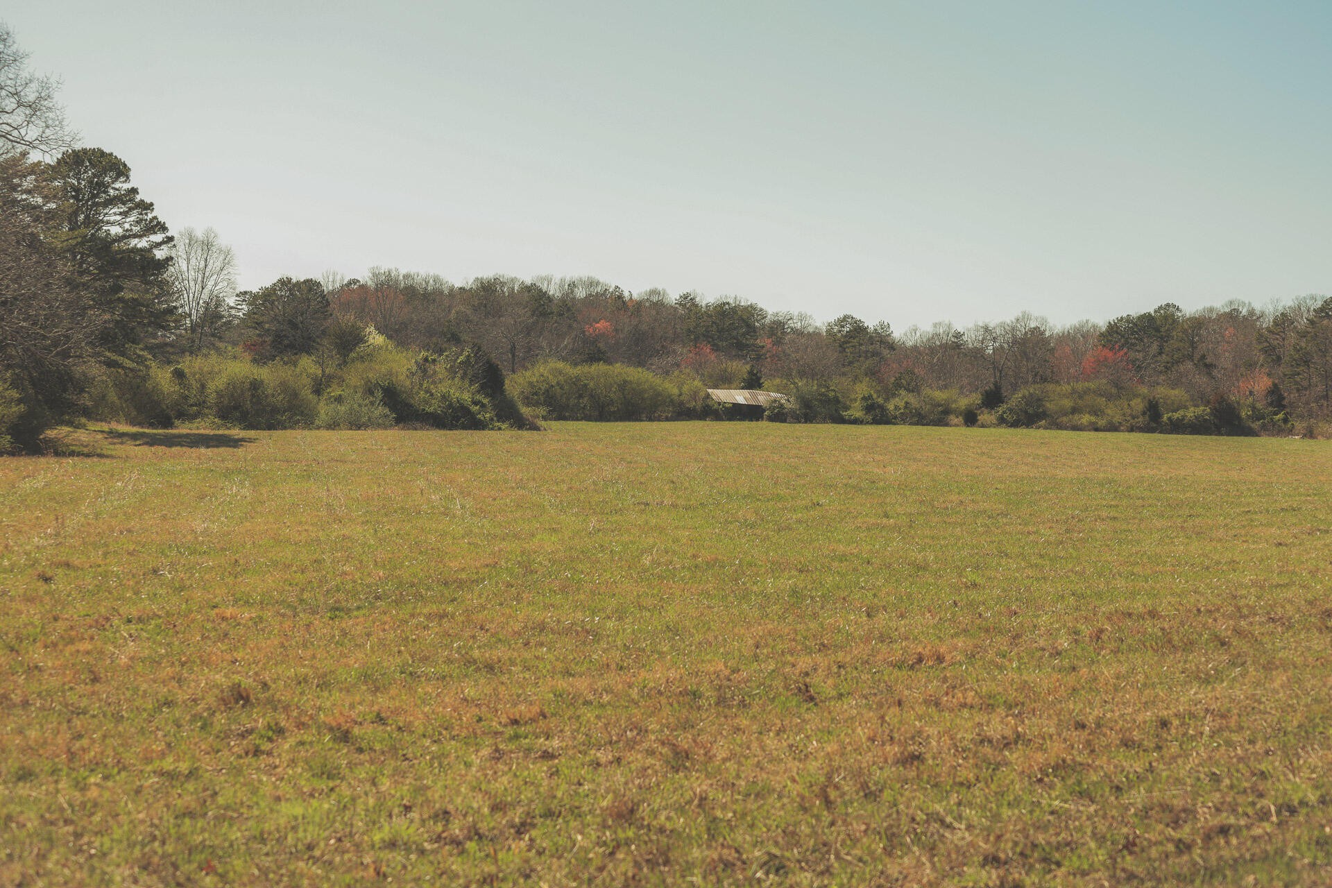 12733 Jones Gap Road Soddy Daisy TN 37379