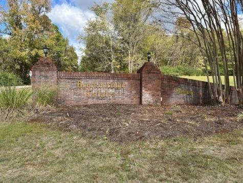 3 Suzy Cove Savannah TN 38372