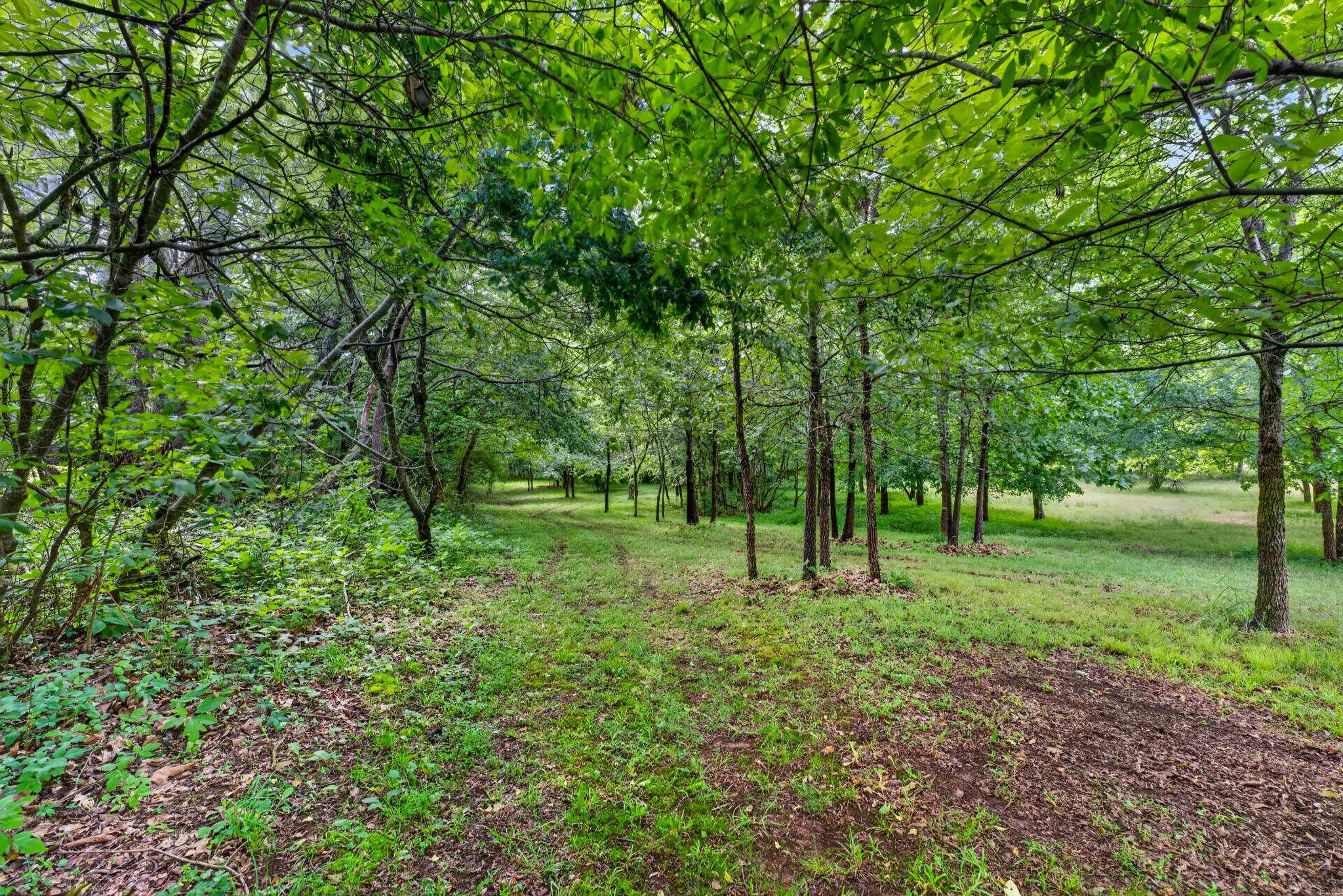 1234 Floyd Hudgens Road Ashland City TN 37015