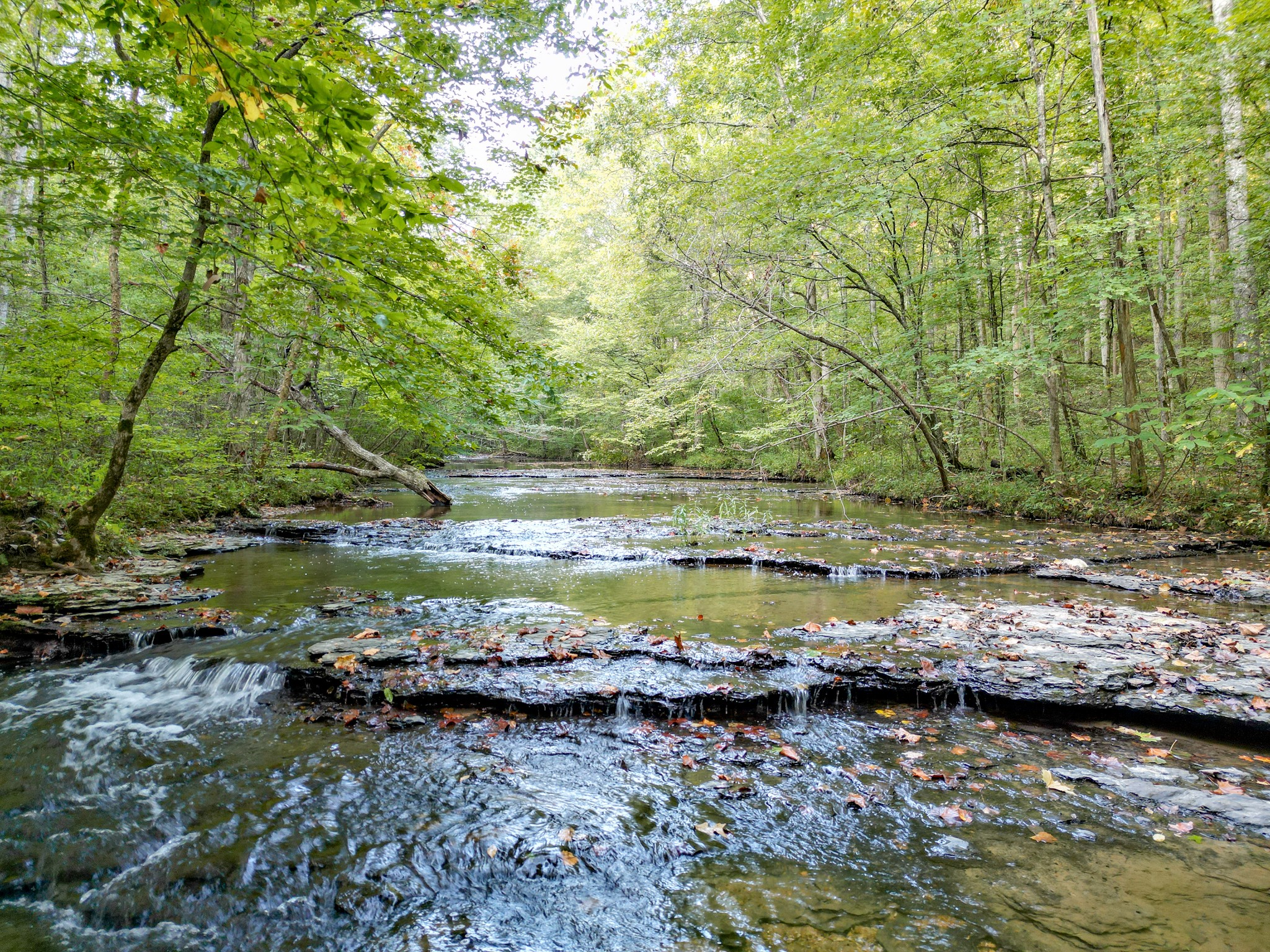 1 Ccc Road Fairview TN 37062