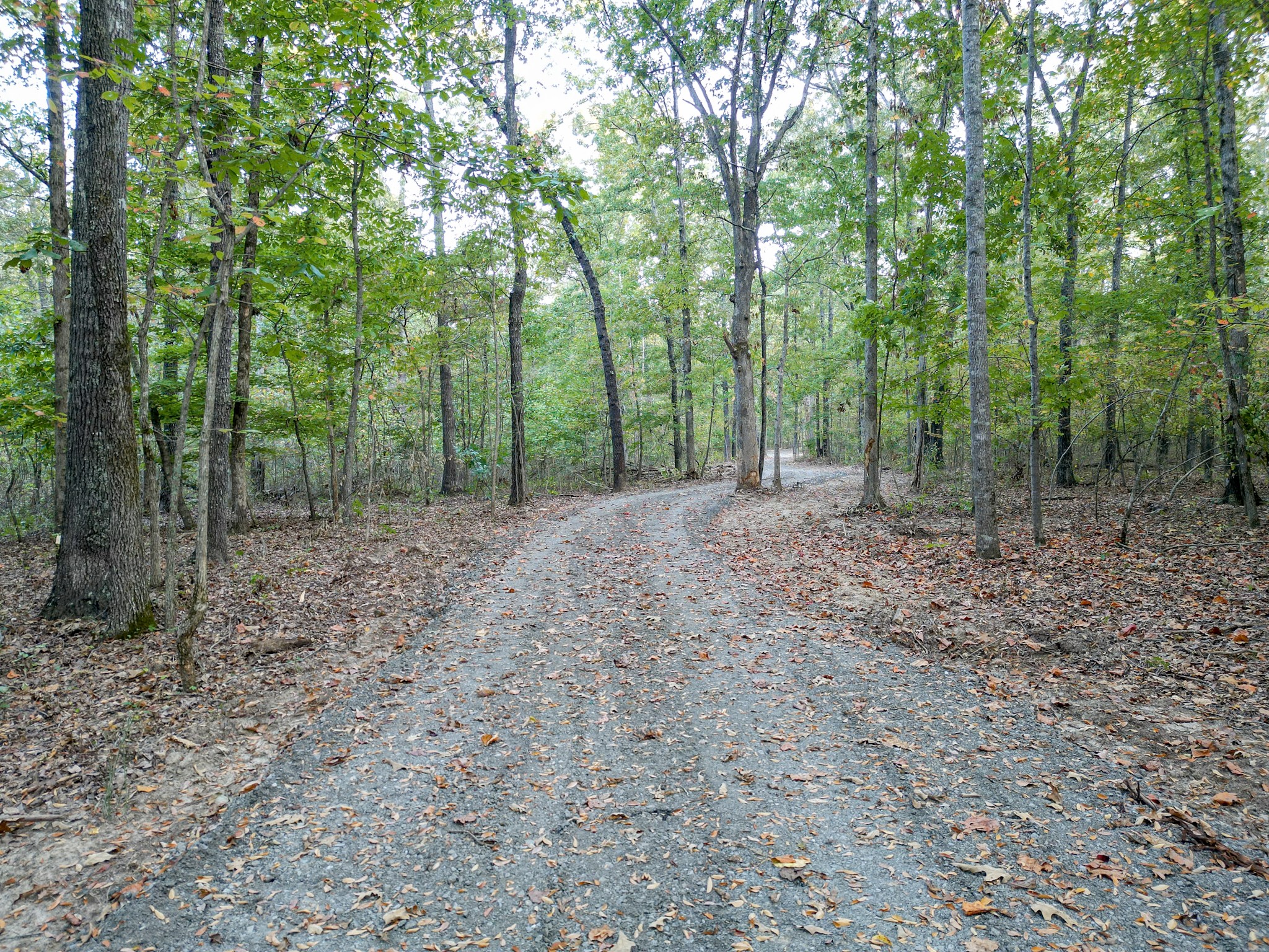1 Ccc Road Fairview TN 37062