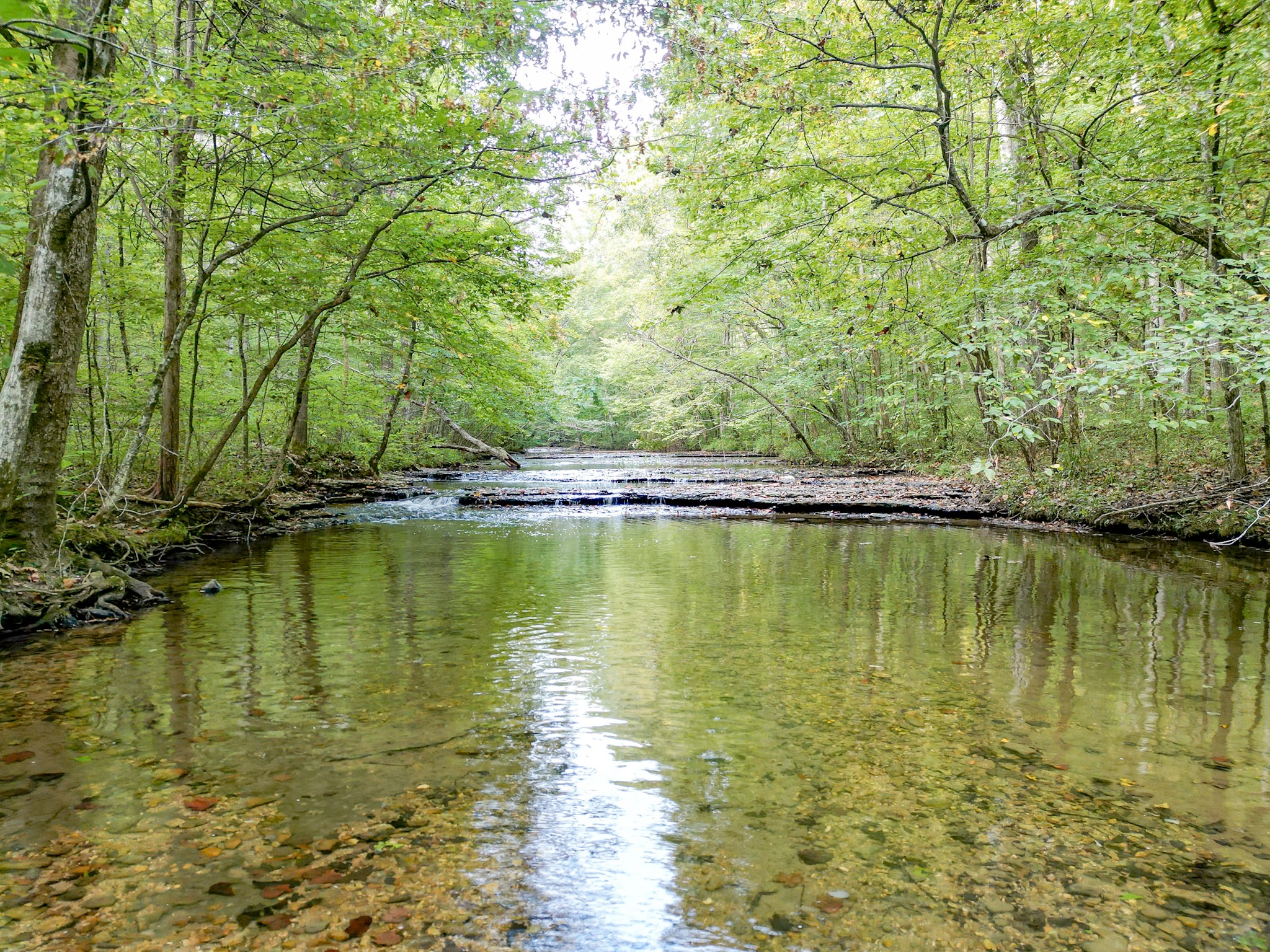 1 Ccc Road Fairview TN 37062