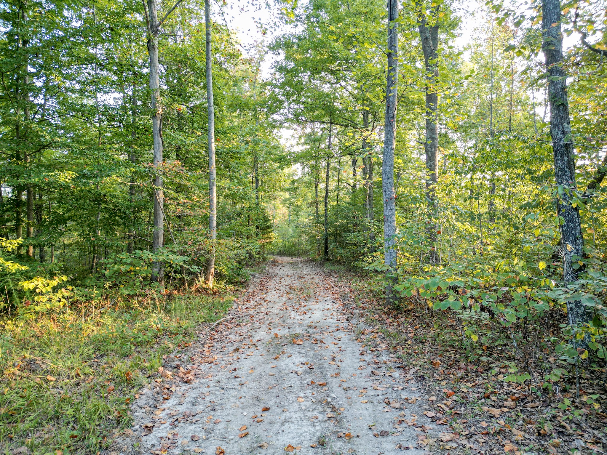 1 Ccc Road Fairview TN 37062