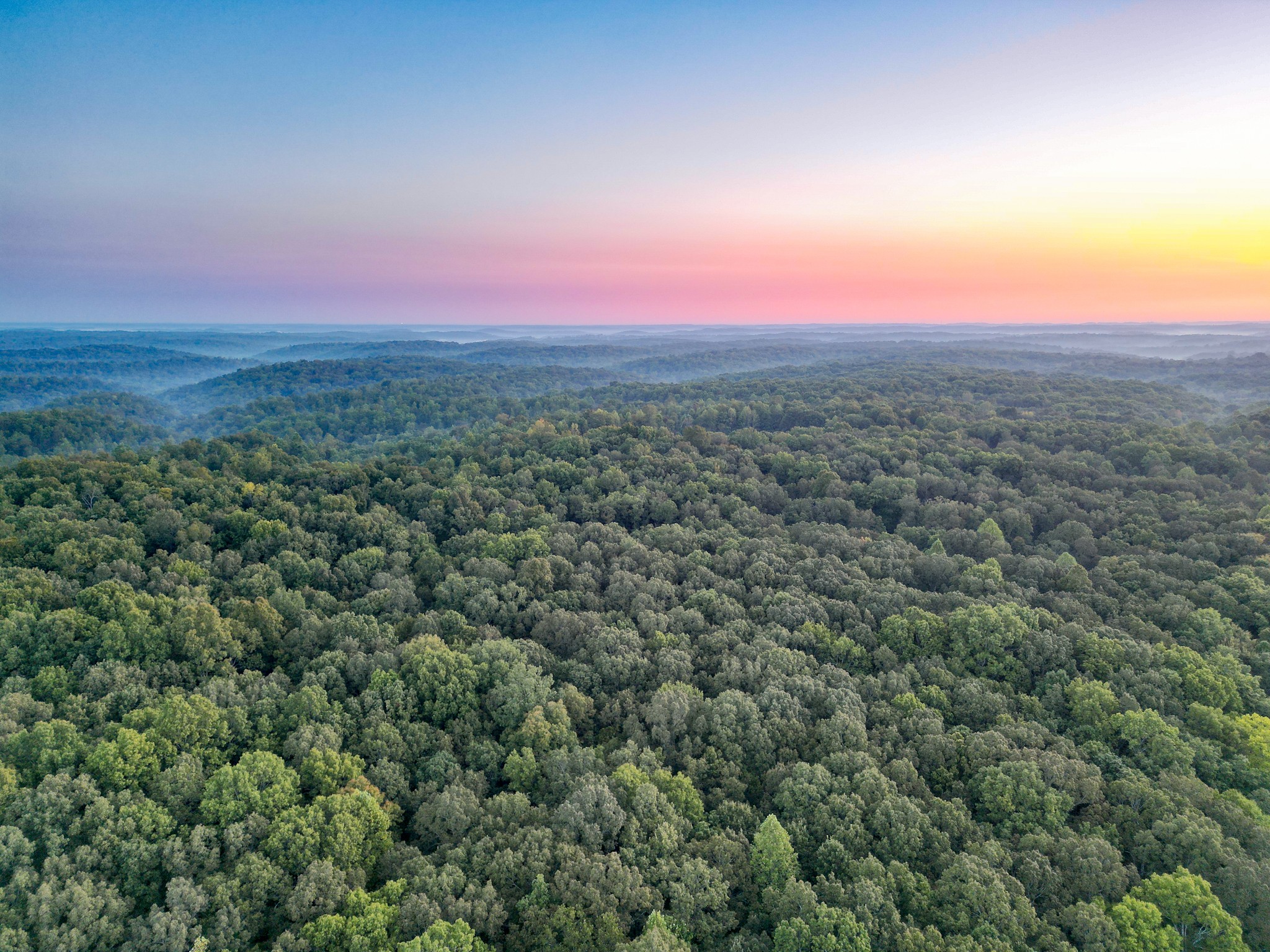 1 Ccc Road Fairview TN 37062
