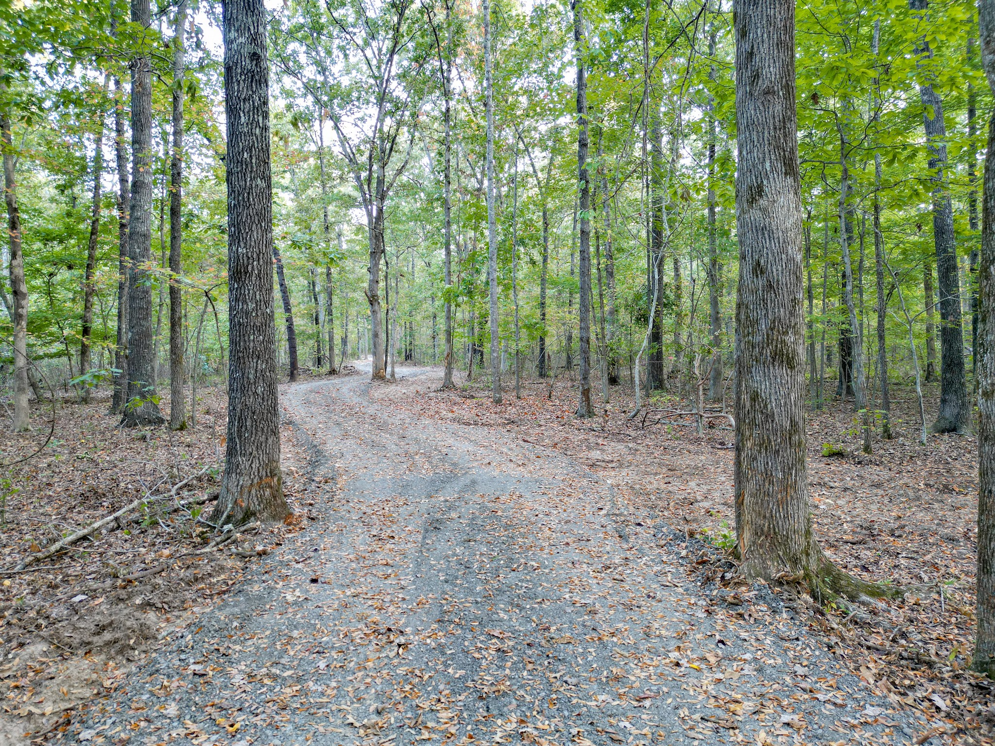 1 Ccc Road Fairview TN 37062