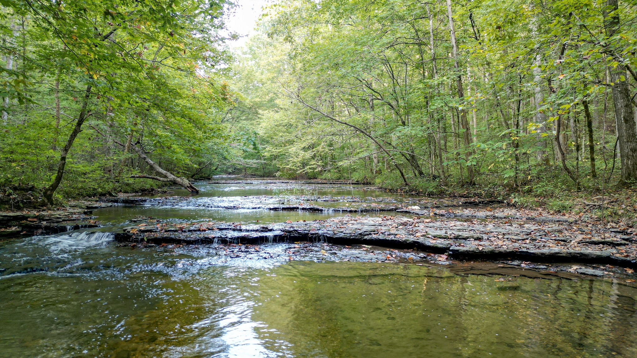 1 Ccc Road Fairview TN 37062