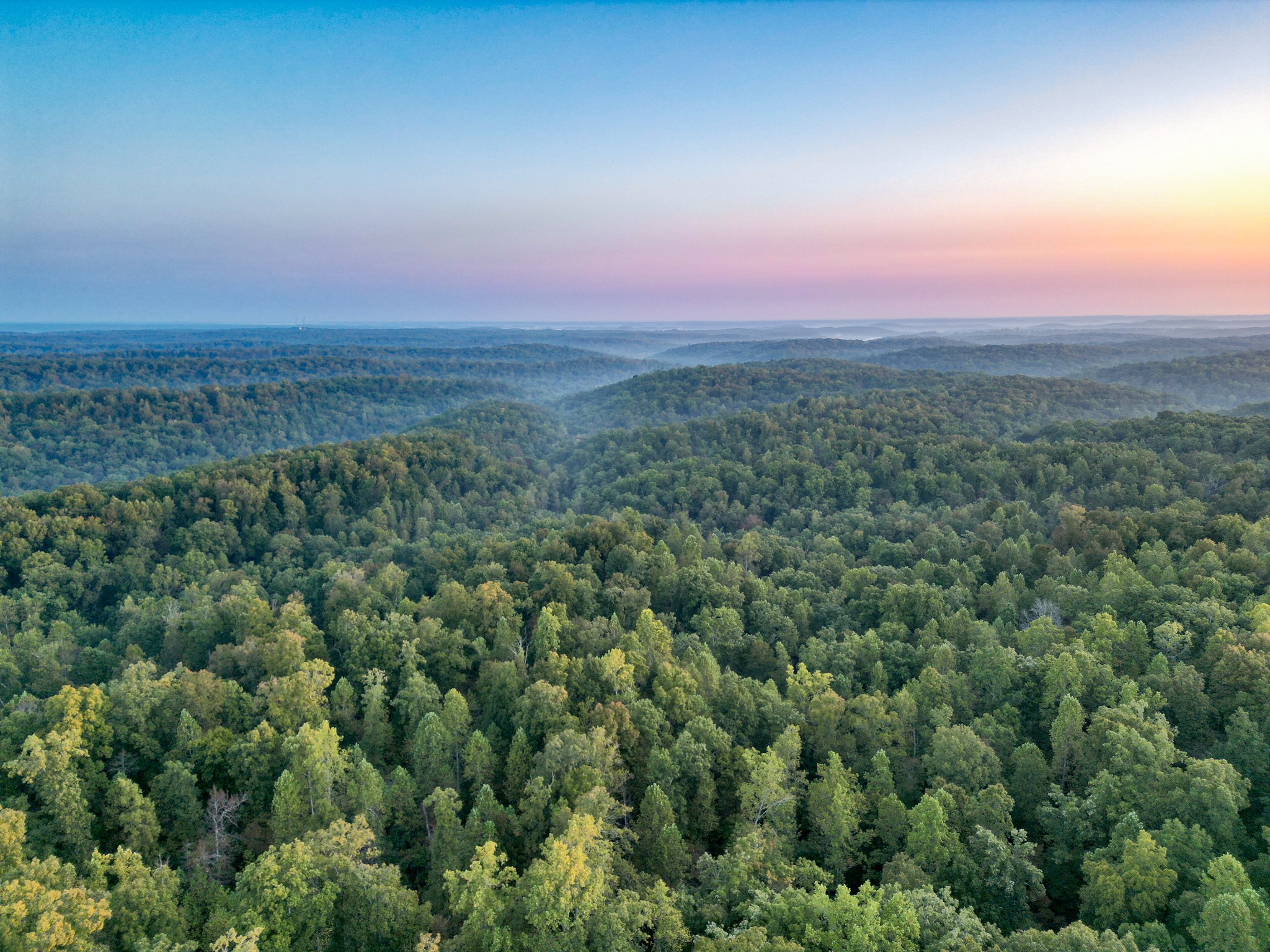 1 Ccc Road Fairview TN 37062