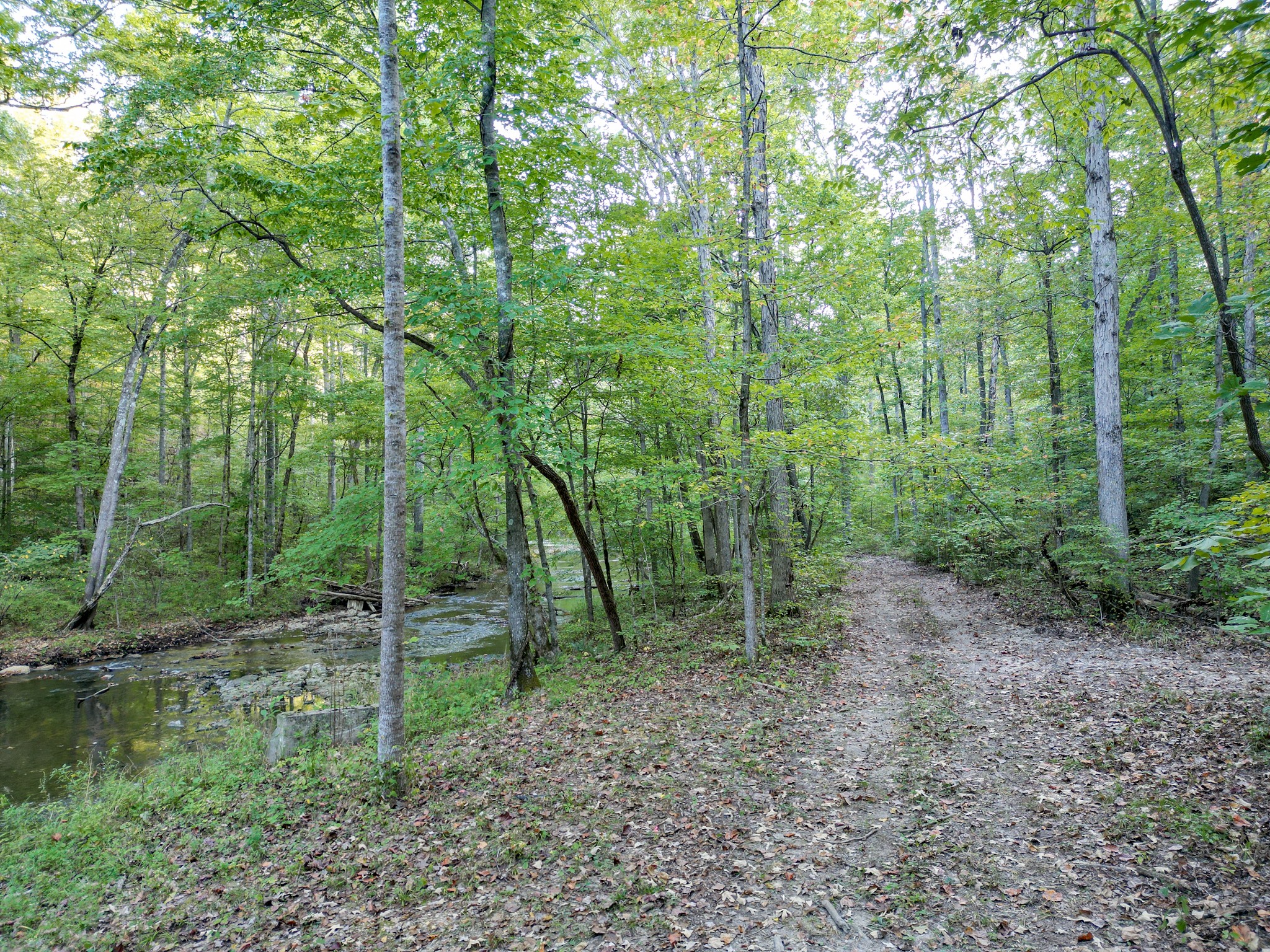 1 Ccc Road Fairview TN 37062