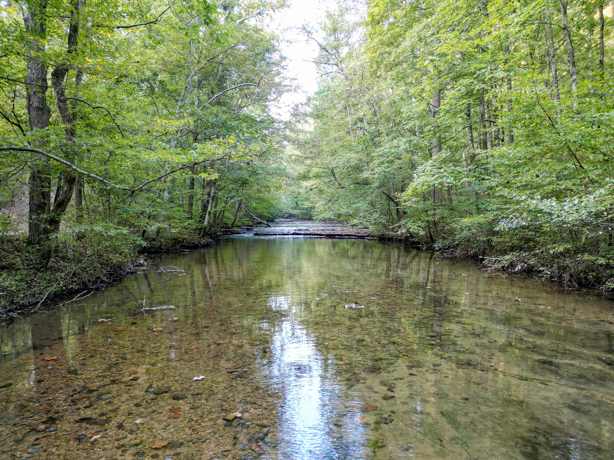 1 Ccc Road Fairview TN 37062